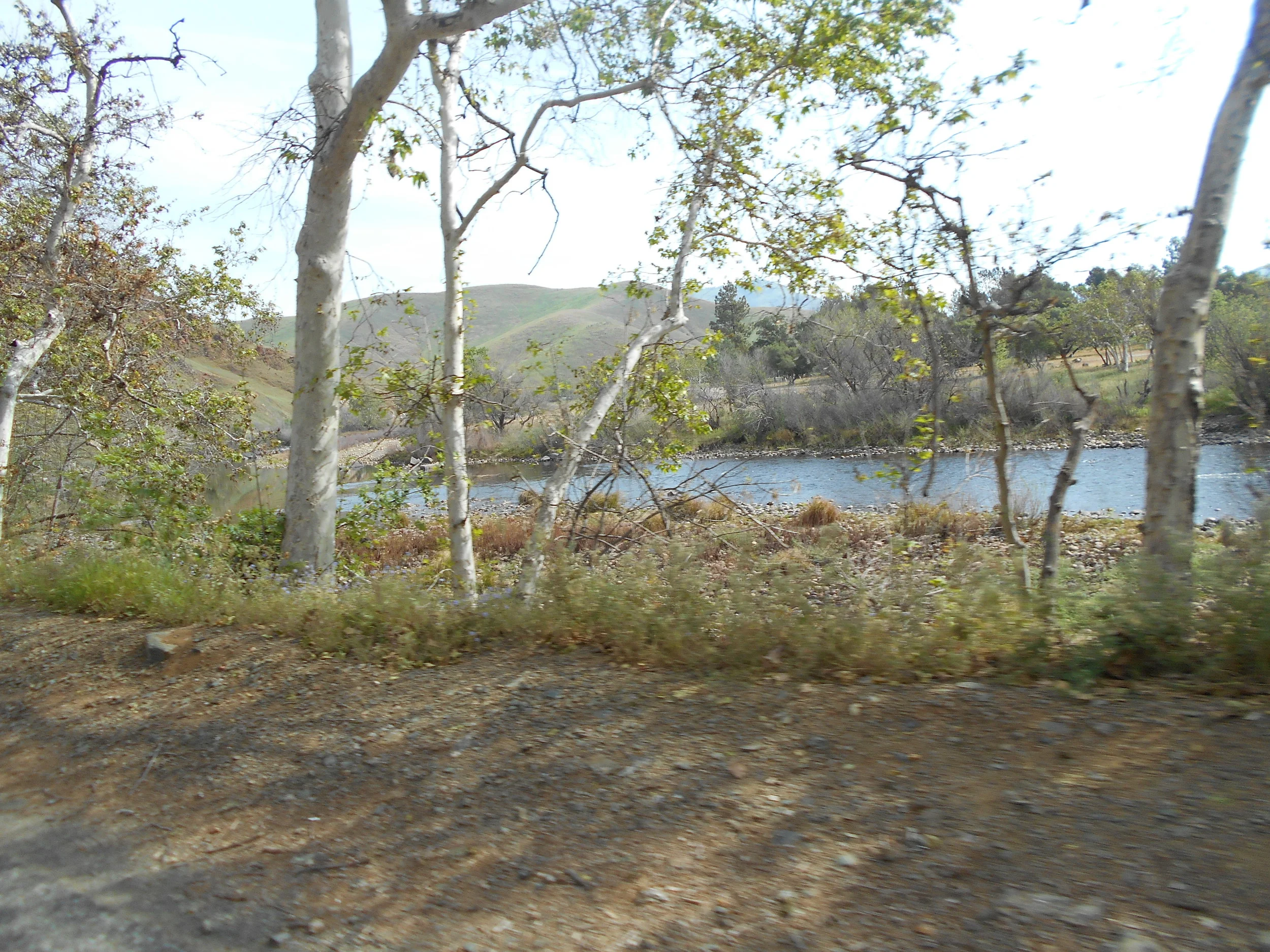 DSCN3432.JPG