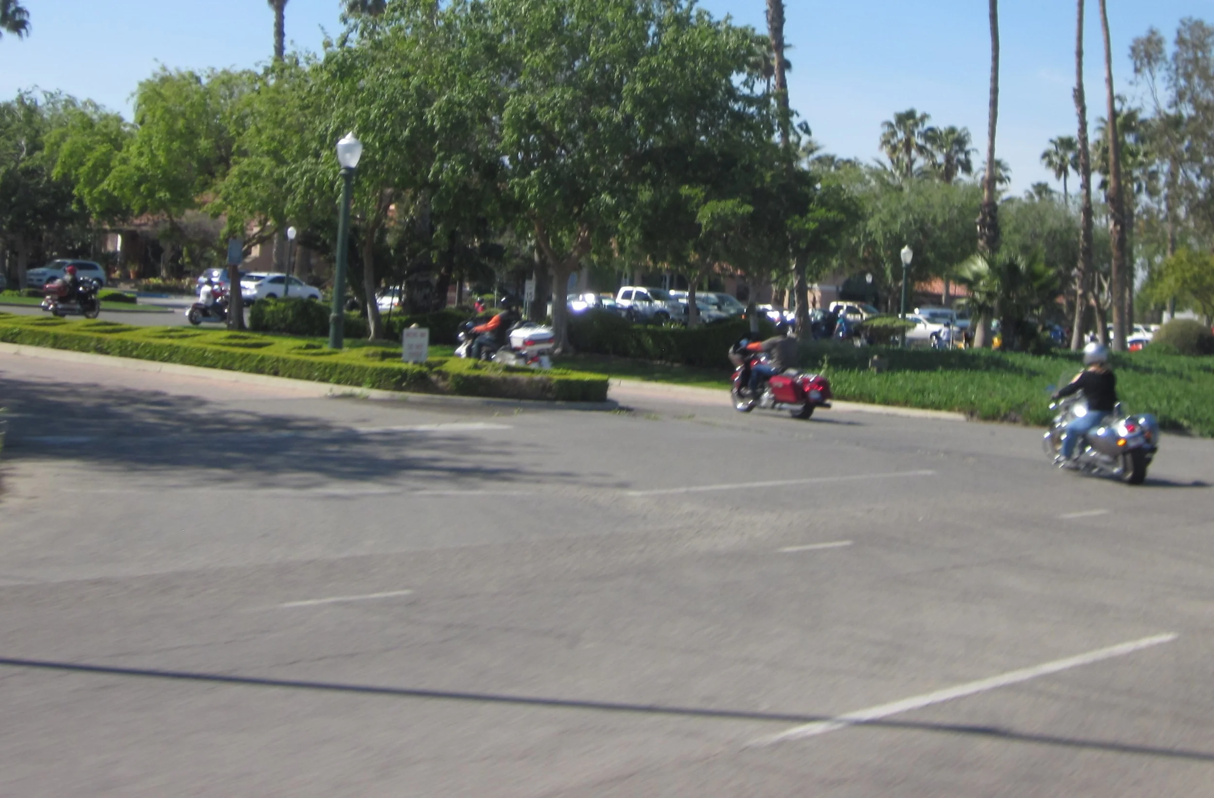 IMG_6615A.jpg