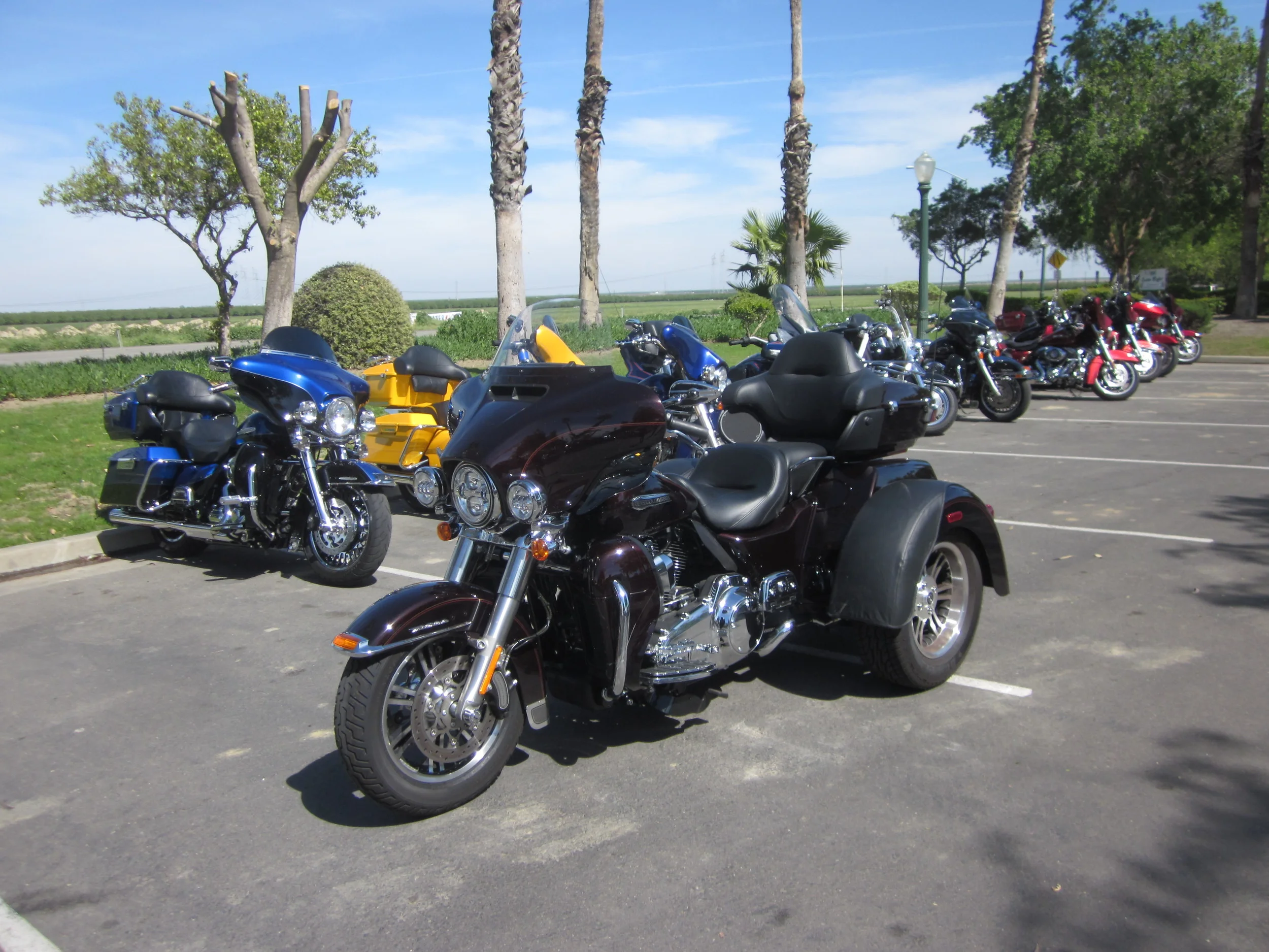IMG_6617B.JPG