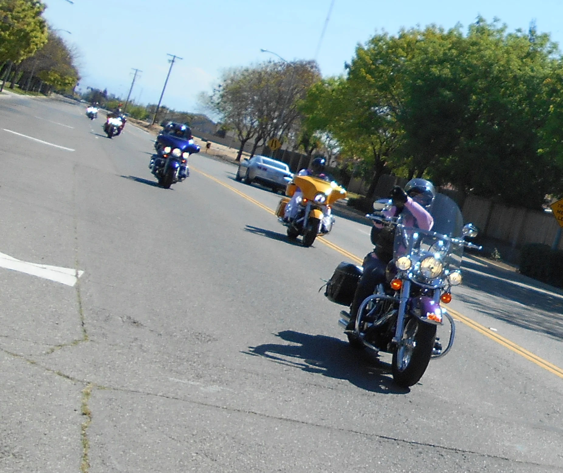 DSCN3568A.jpg