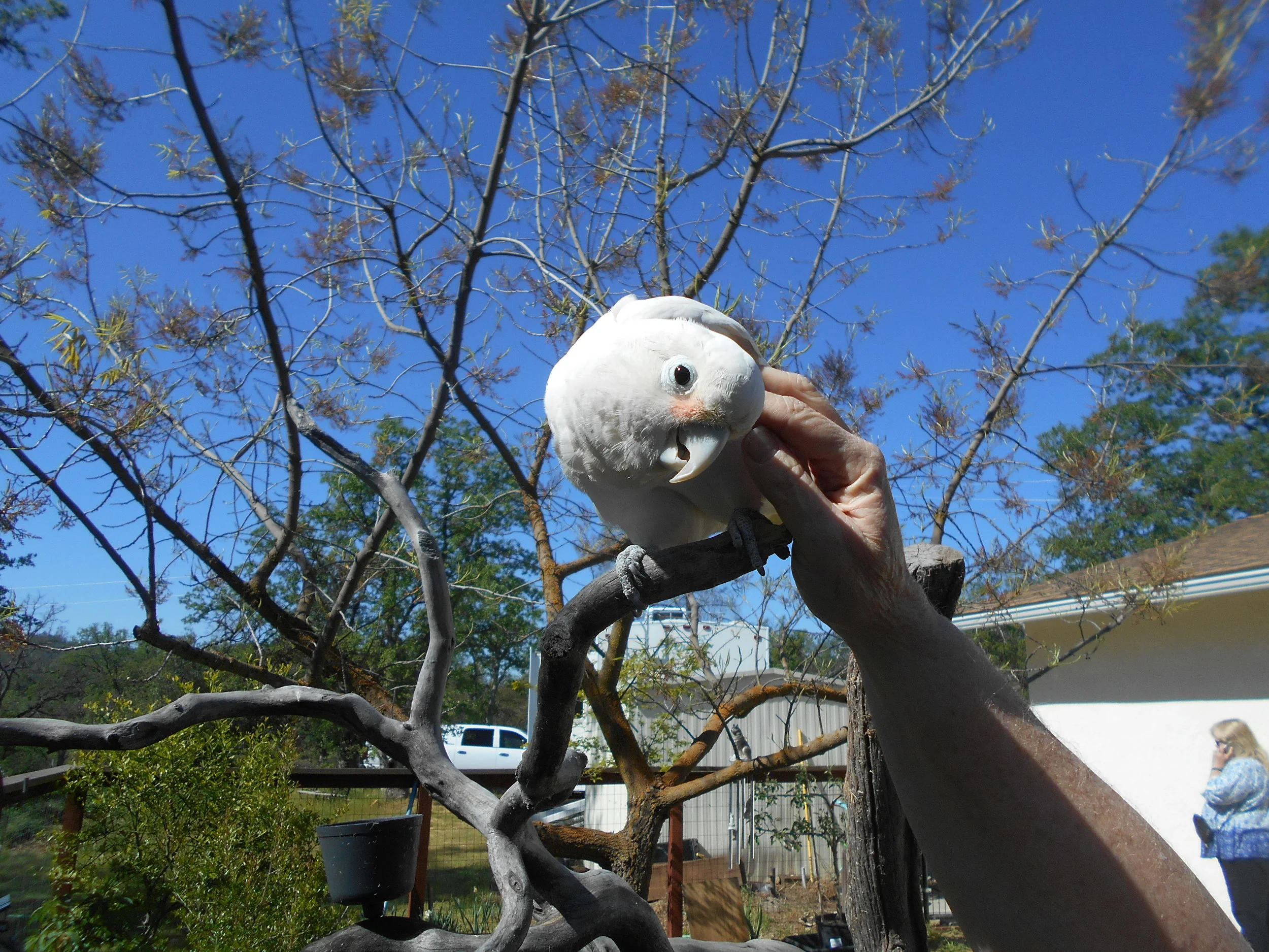 DSCN5354.JPG