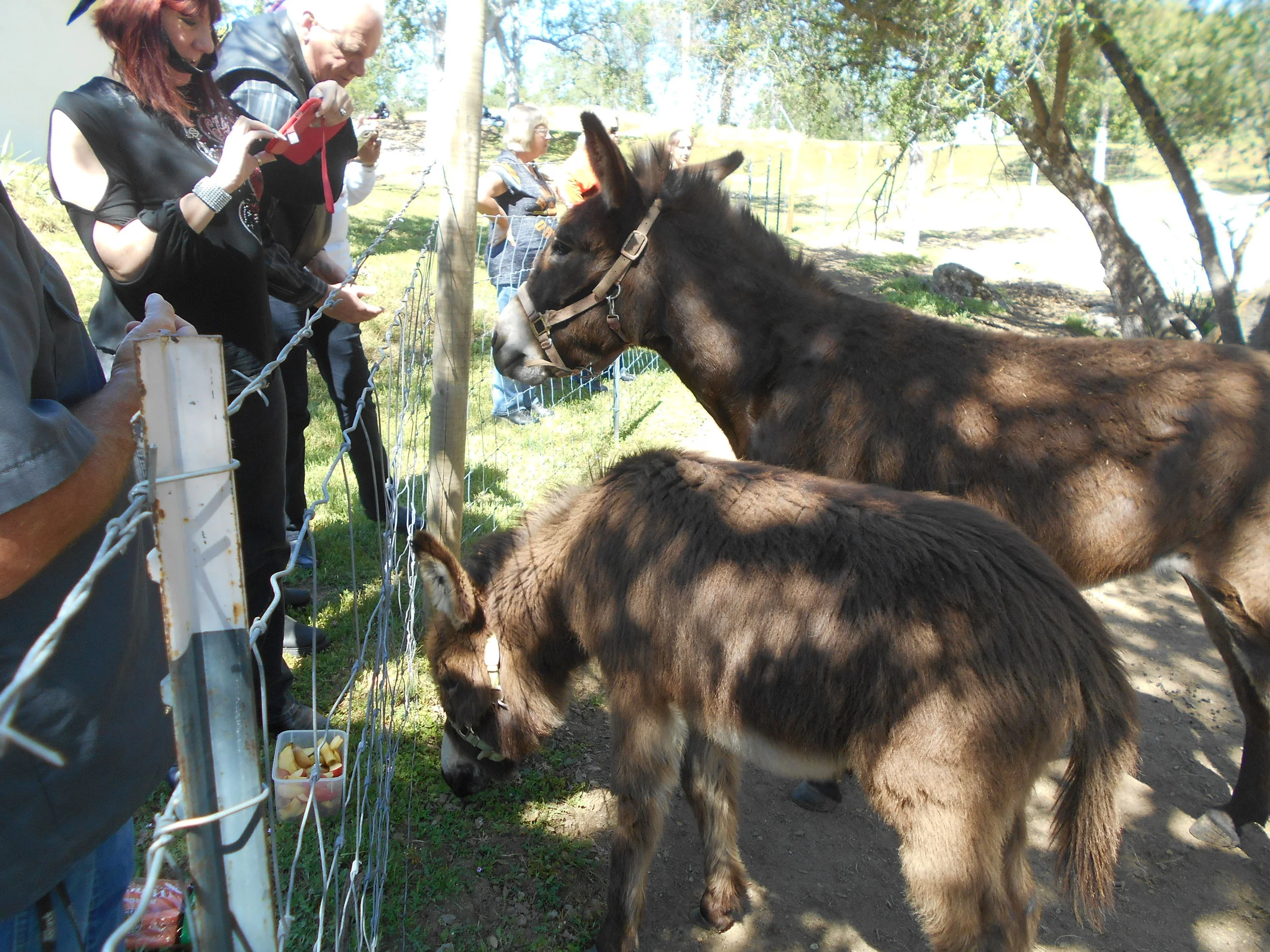 DSCN5363.JPG