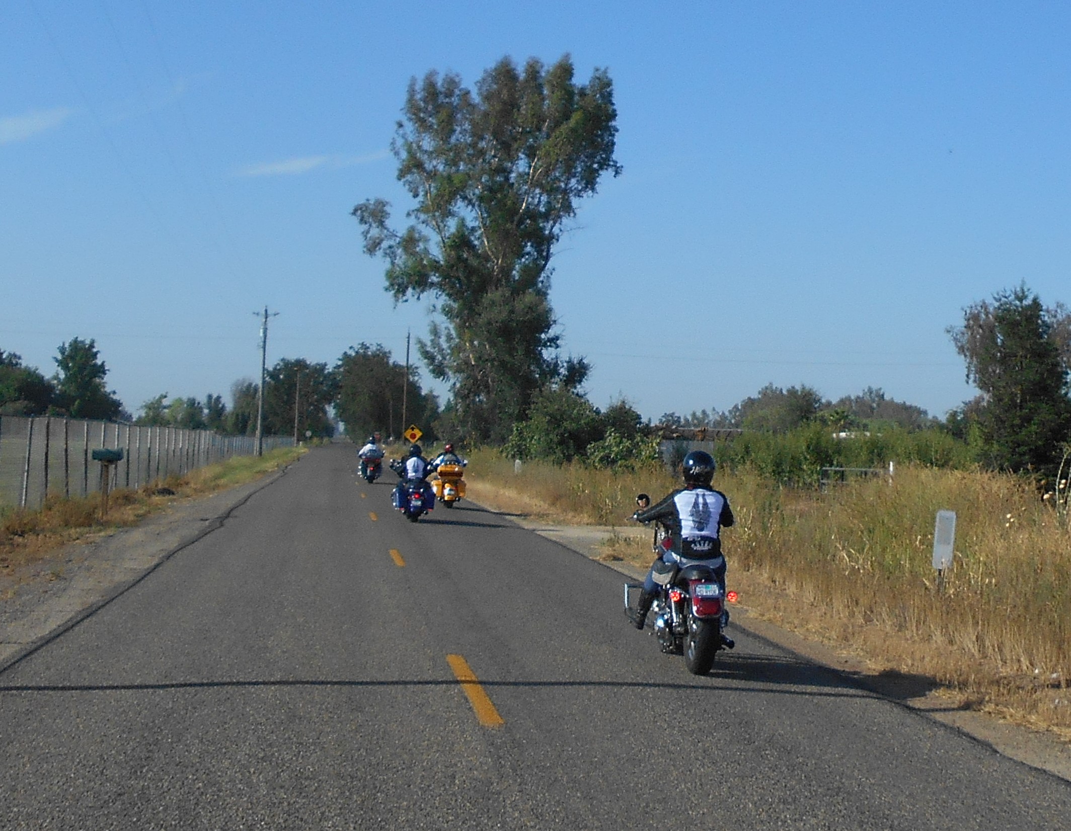 DSCN6031.JPG