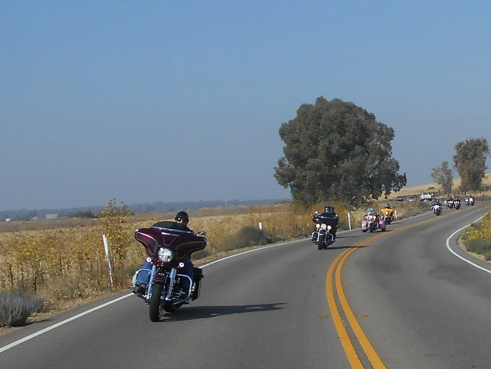 DSCN7115A.jpg