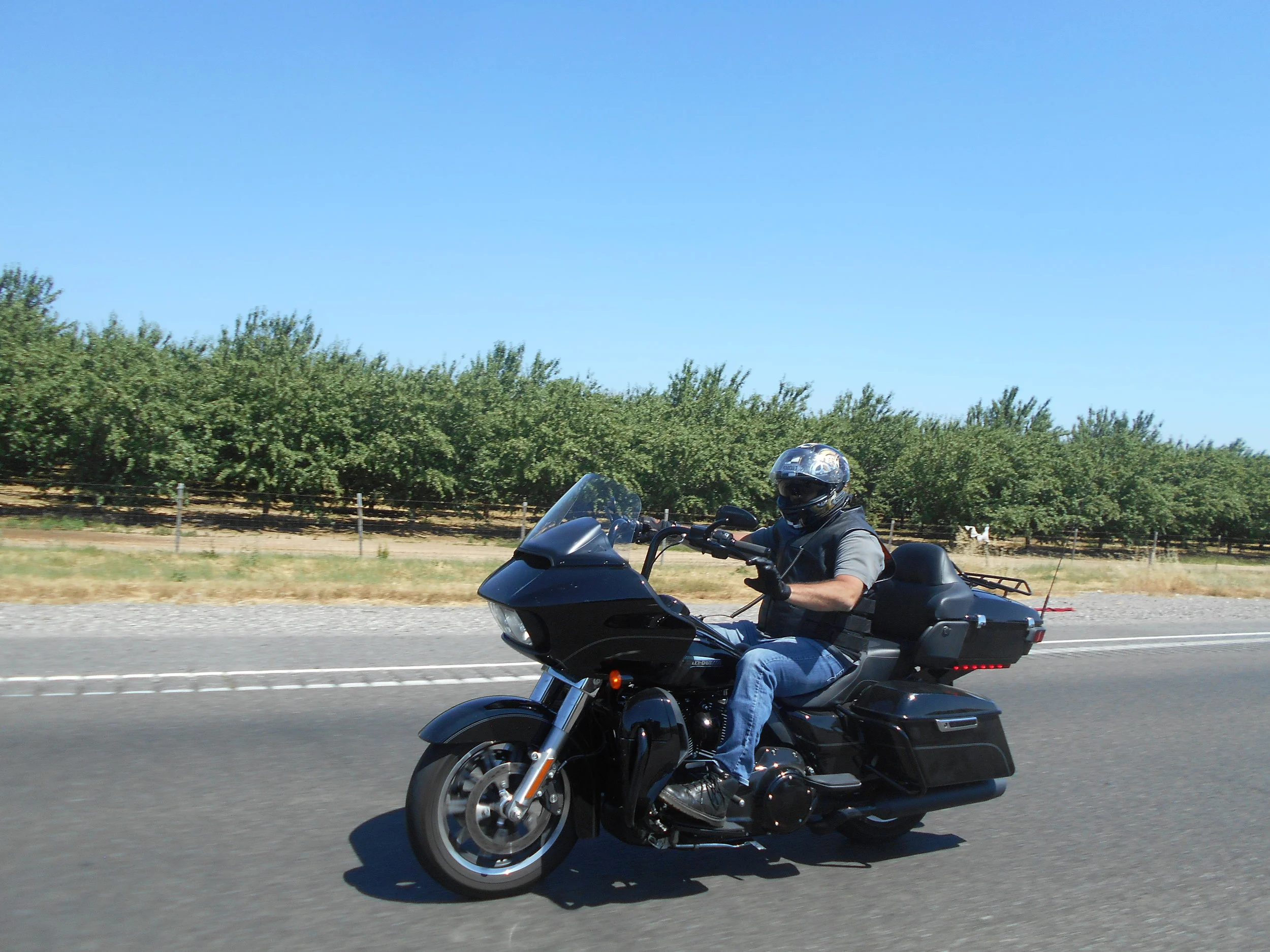 DSCN6732.JPG