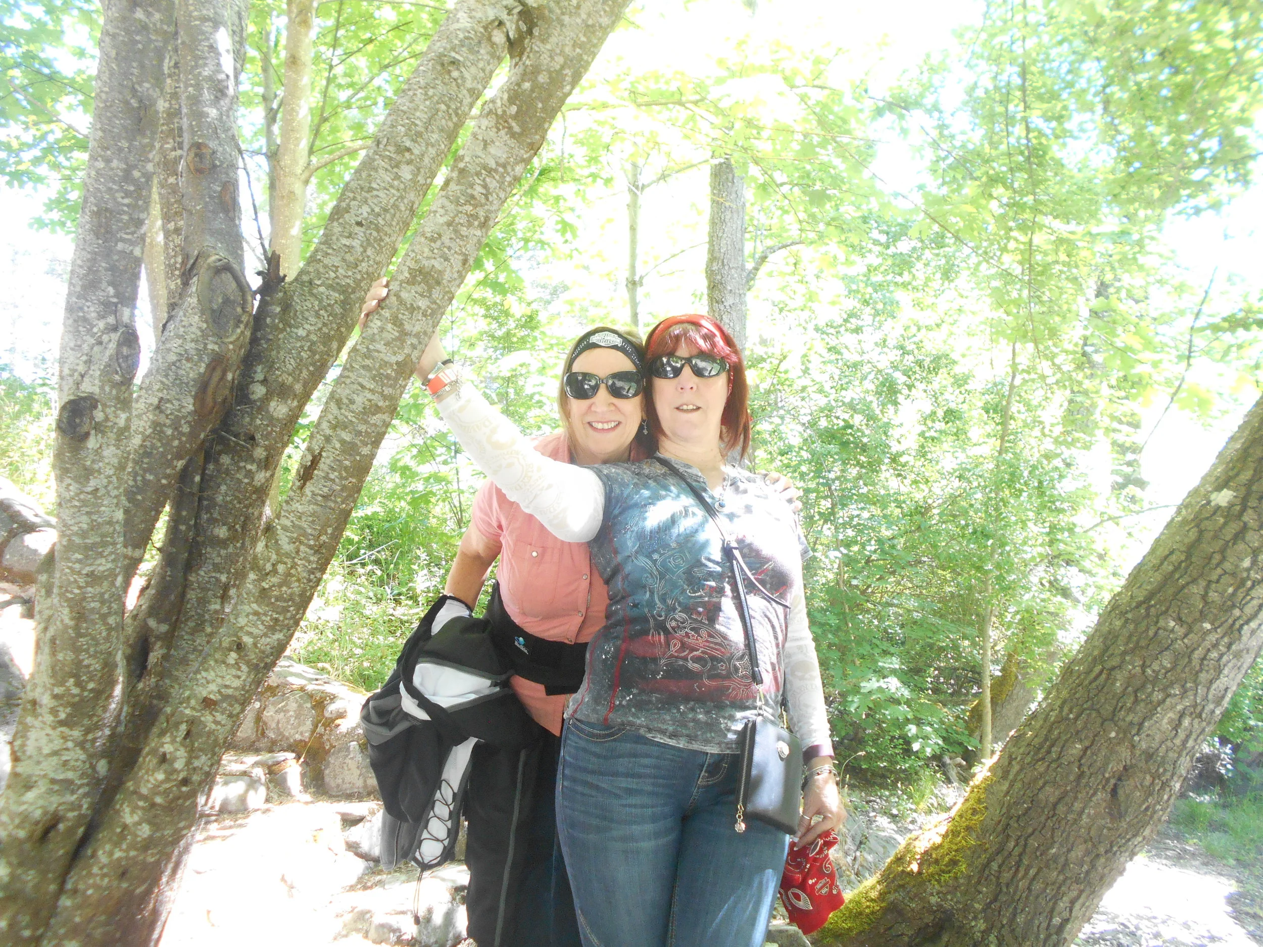 DSCN6806.JPG