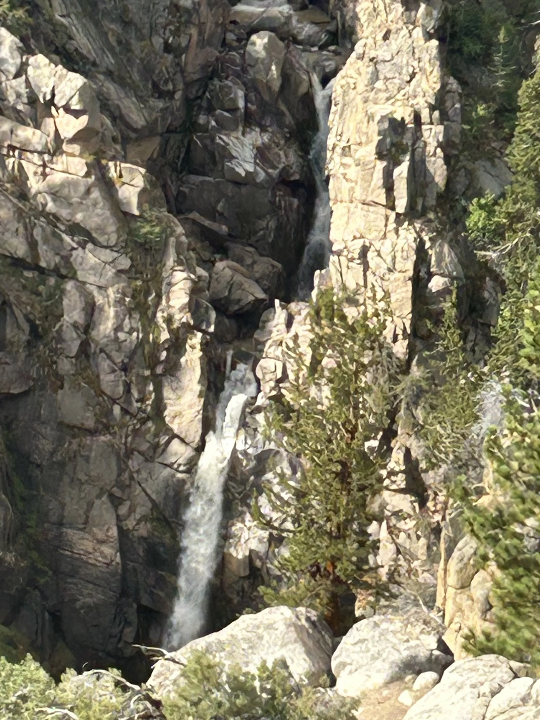 IMG_5607.jpeg