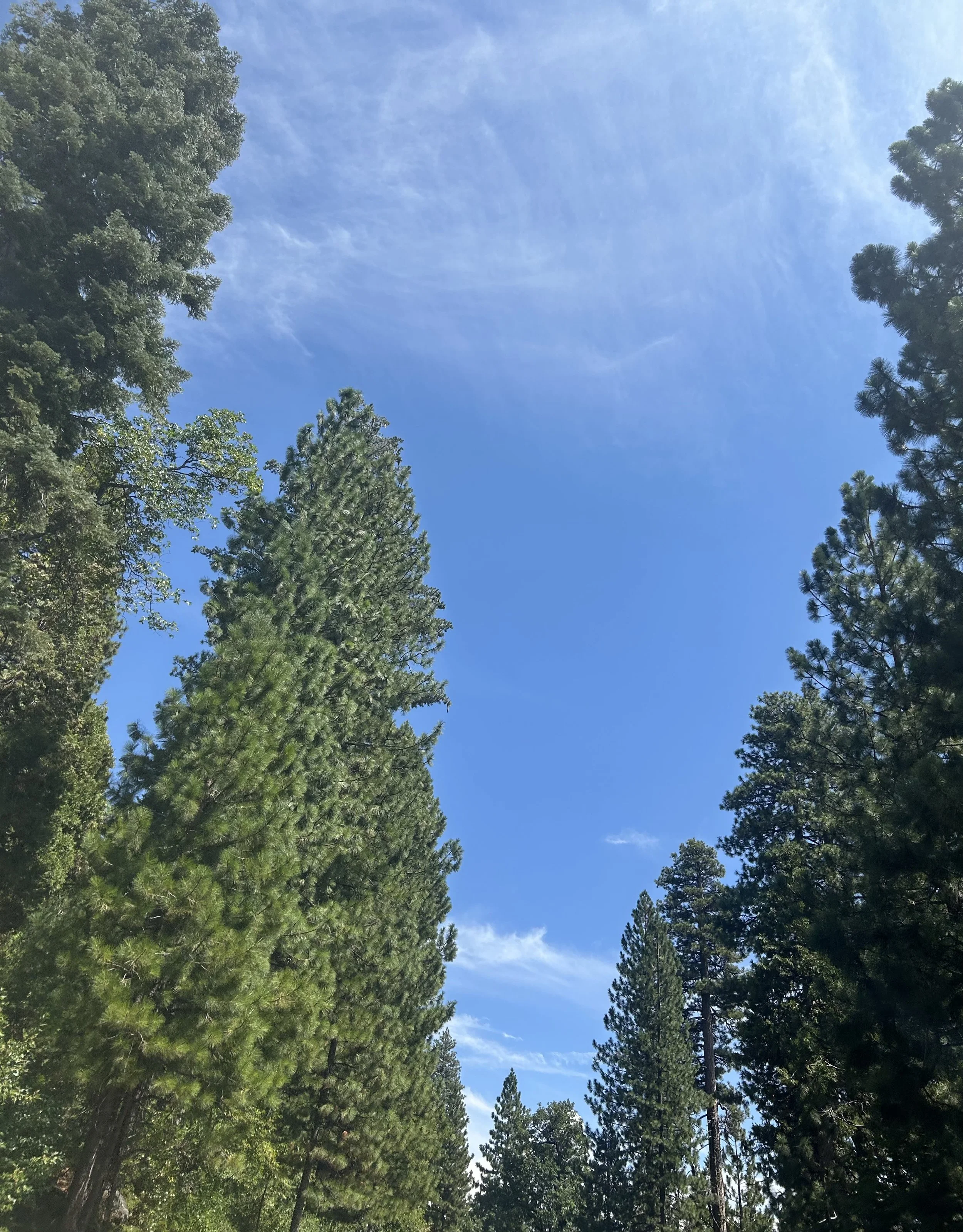IMG_5469.jpeg
