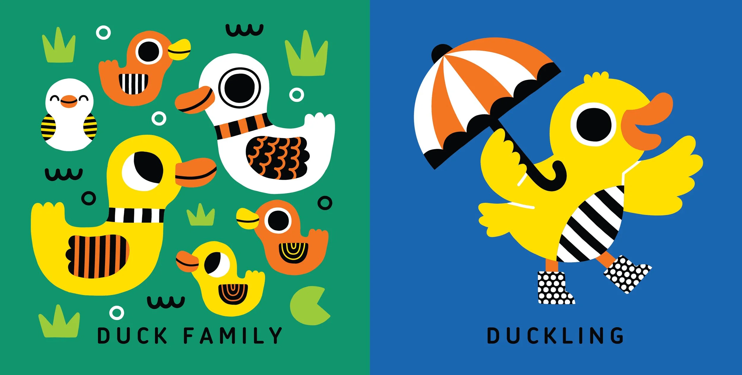 Ducks.jpg