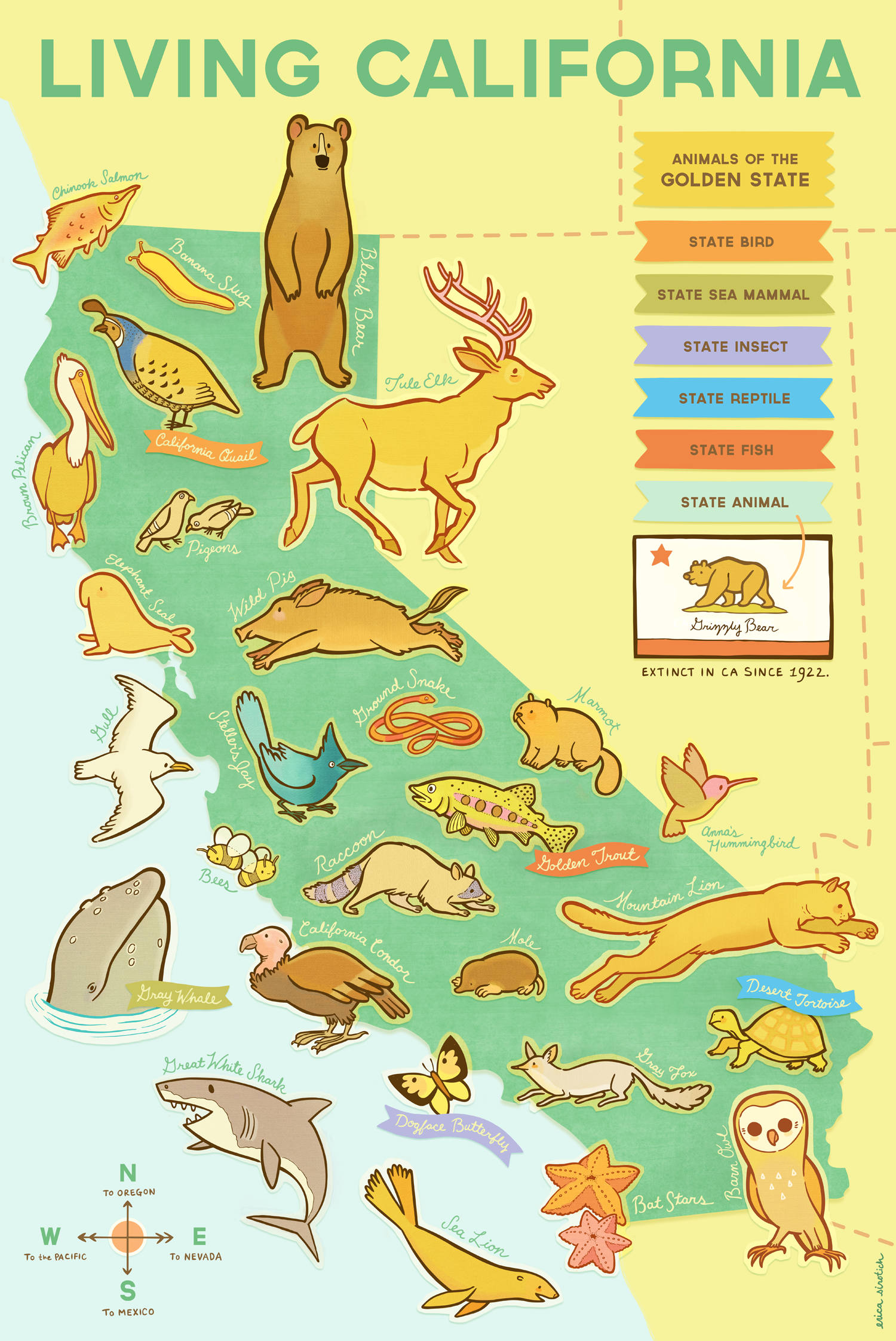 "Living California" by Erica Sirotich