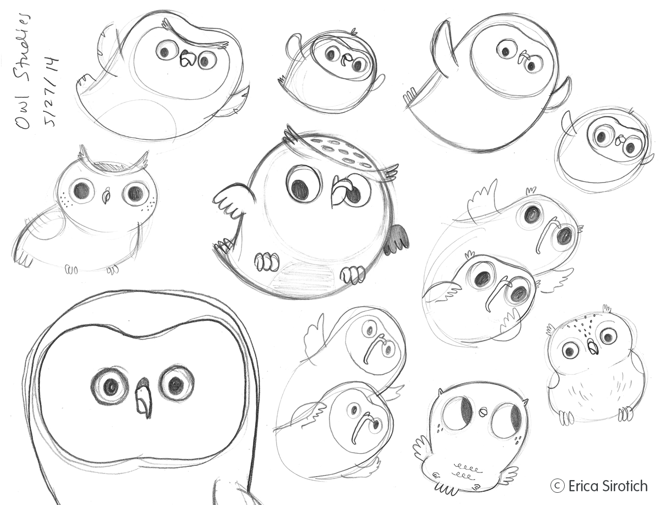 OwlStudies.jpg