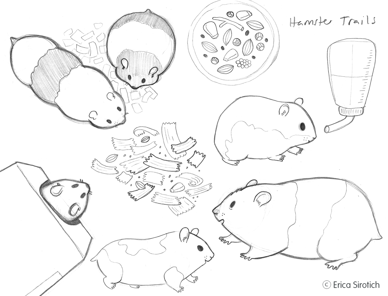HamsterStudies.jpg