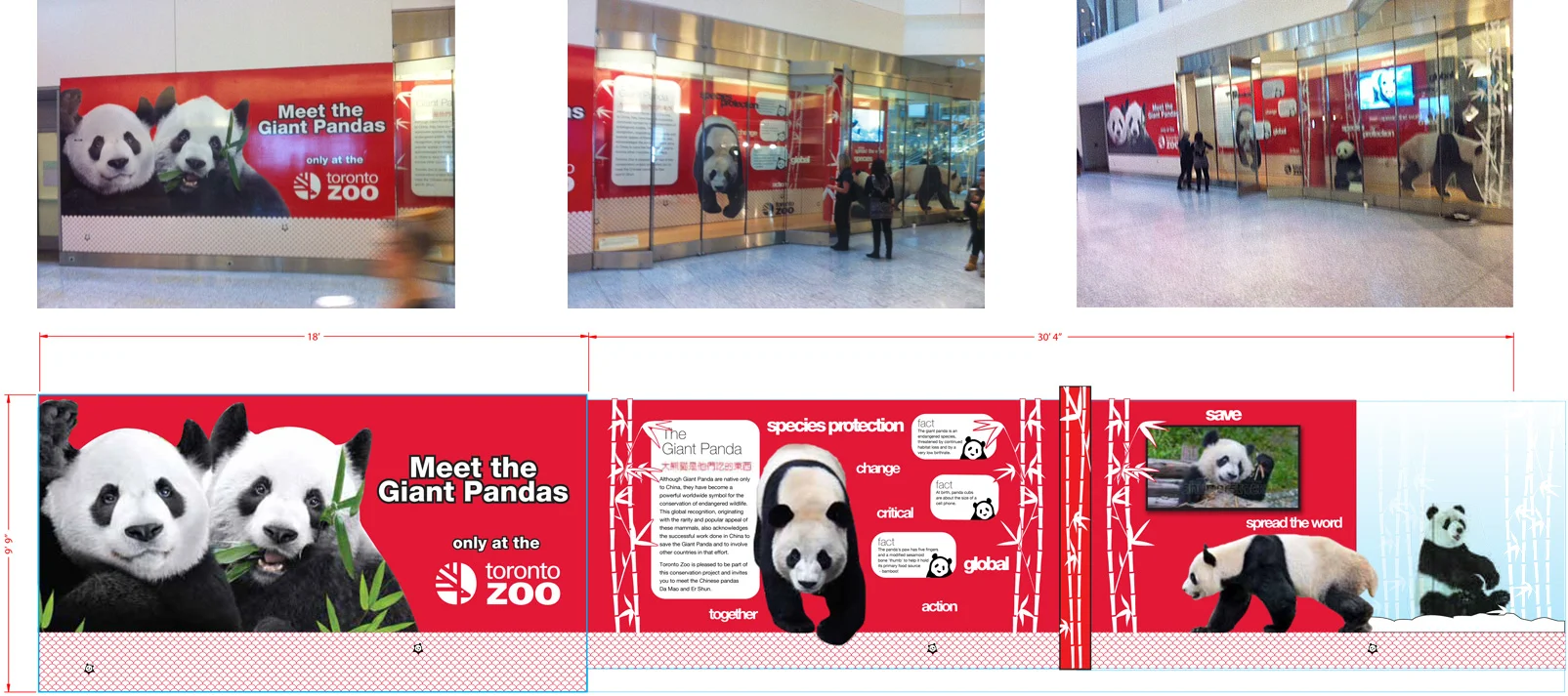   Promotional window display for the Toronto Zoo/Giant Panda Exhibit  &nbsp;installed at Pearson International Airport, January 2014  