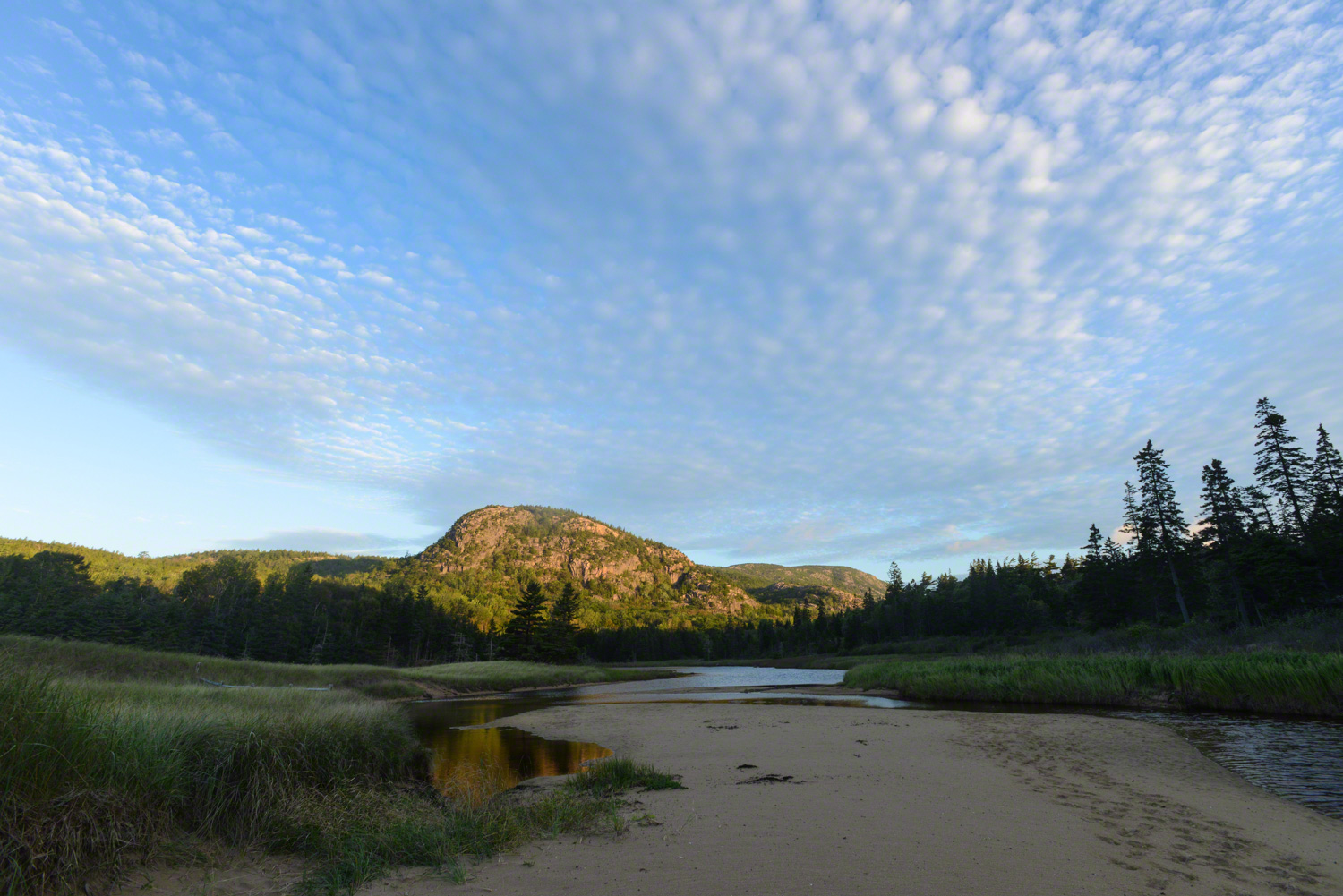 Beehive at sunrise