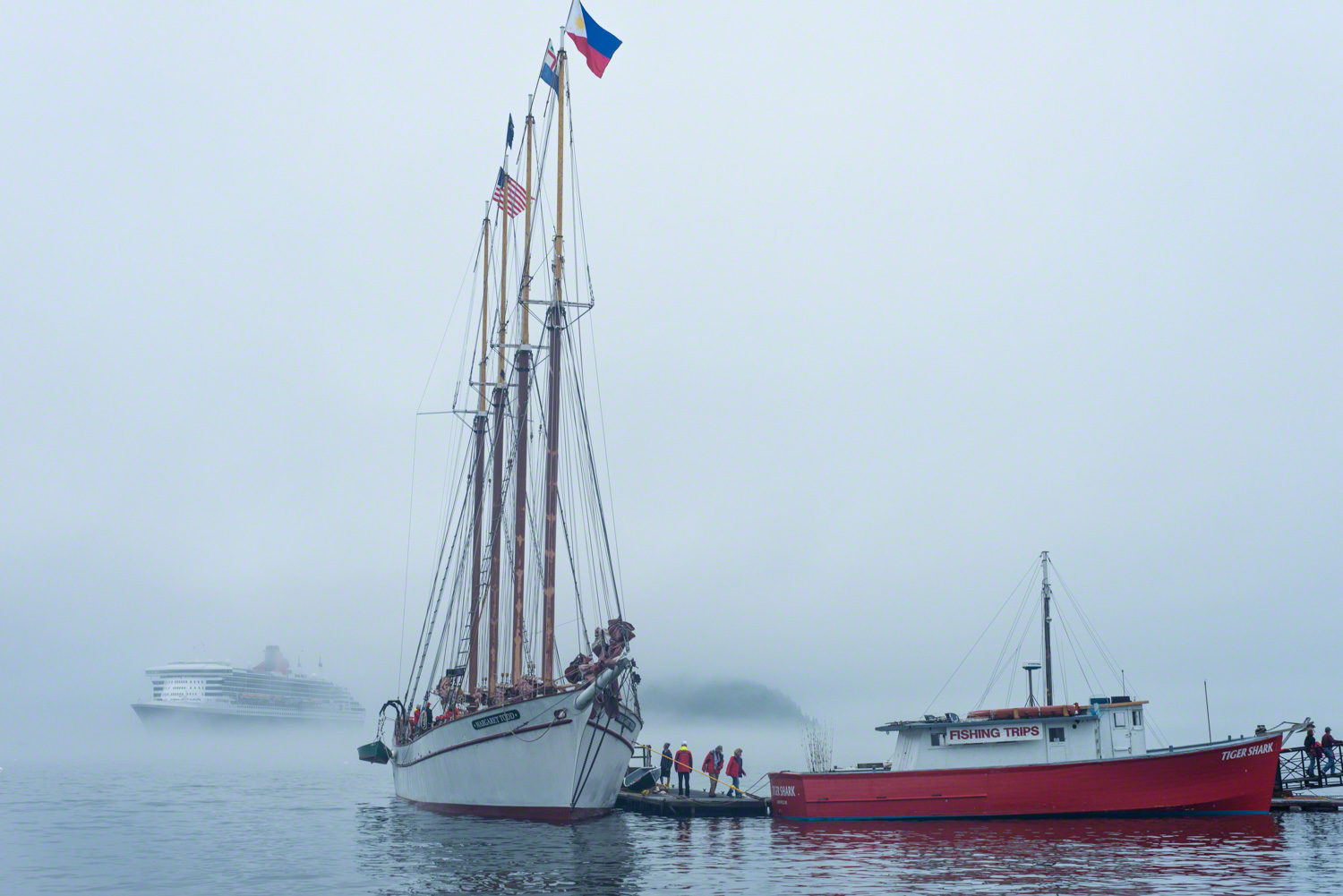 Man, it was foggy in Bar Harbor