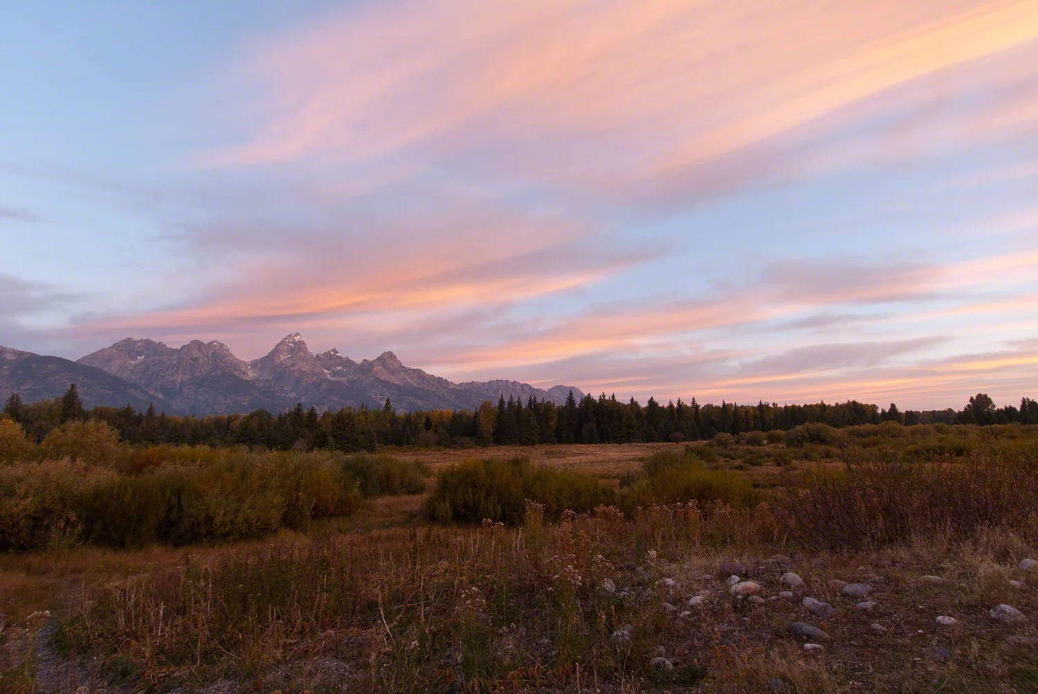 Fall-2010-4841.jpg