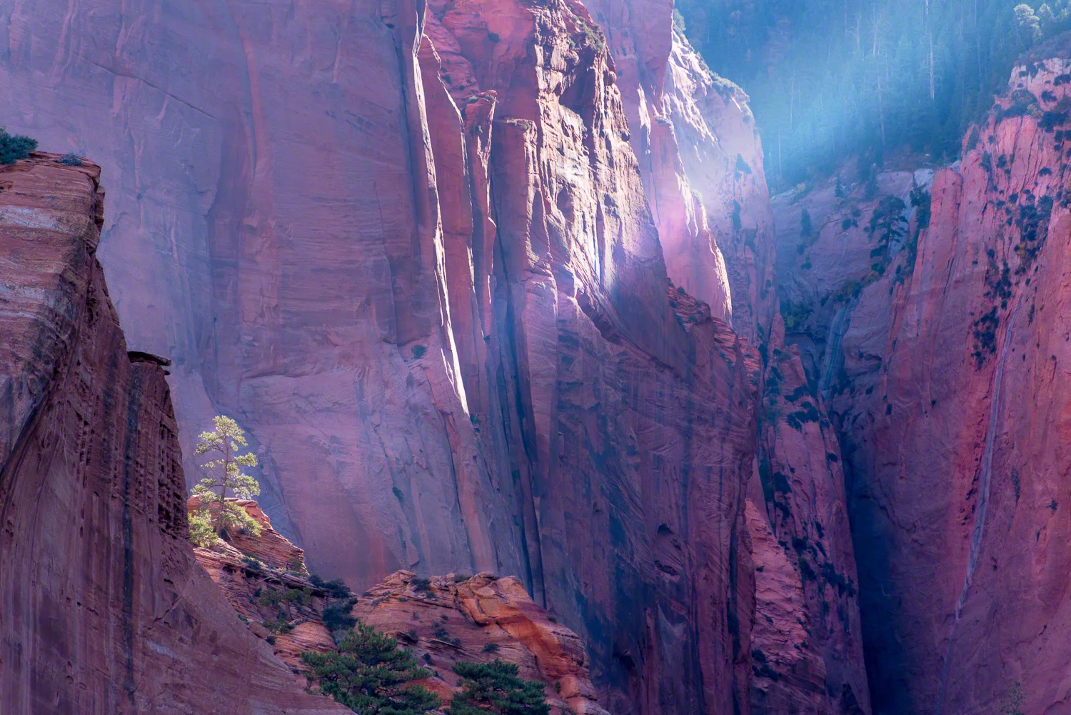 WesternUSA2014-6195-Kolob-Canyon.jpg