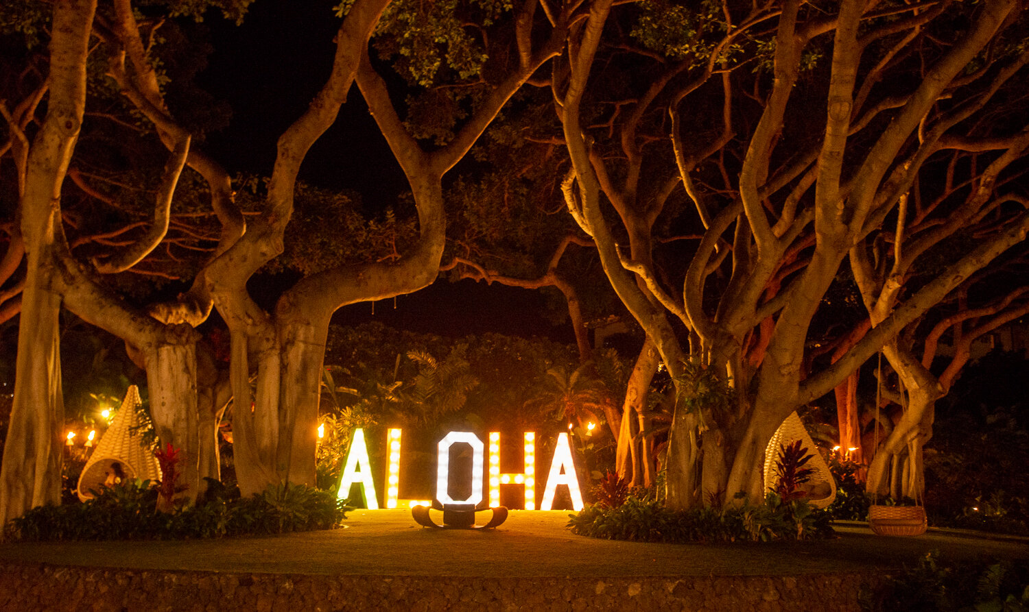Hawaii2018-4608.jpg