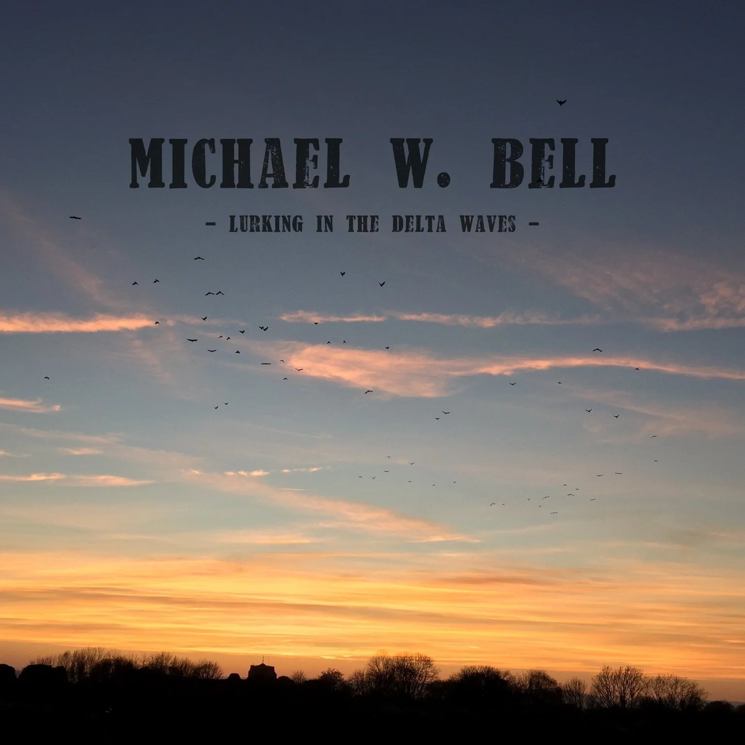 compressed_Michael W. Bell - Lurking In The Delta Waves.jpeg
