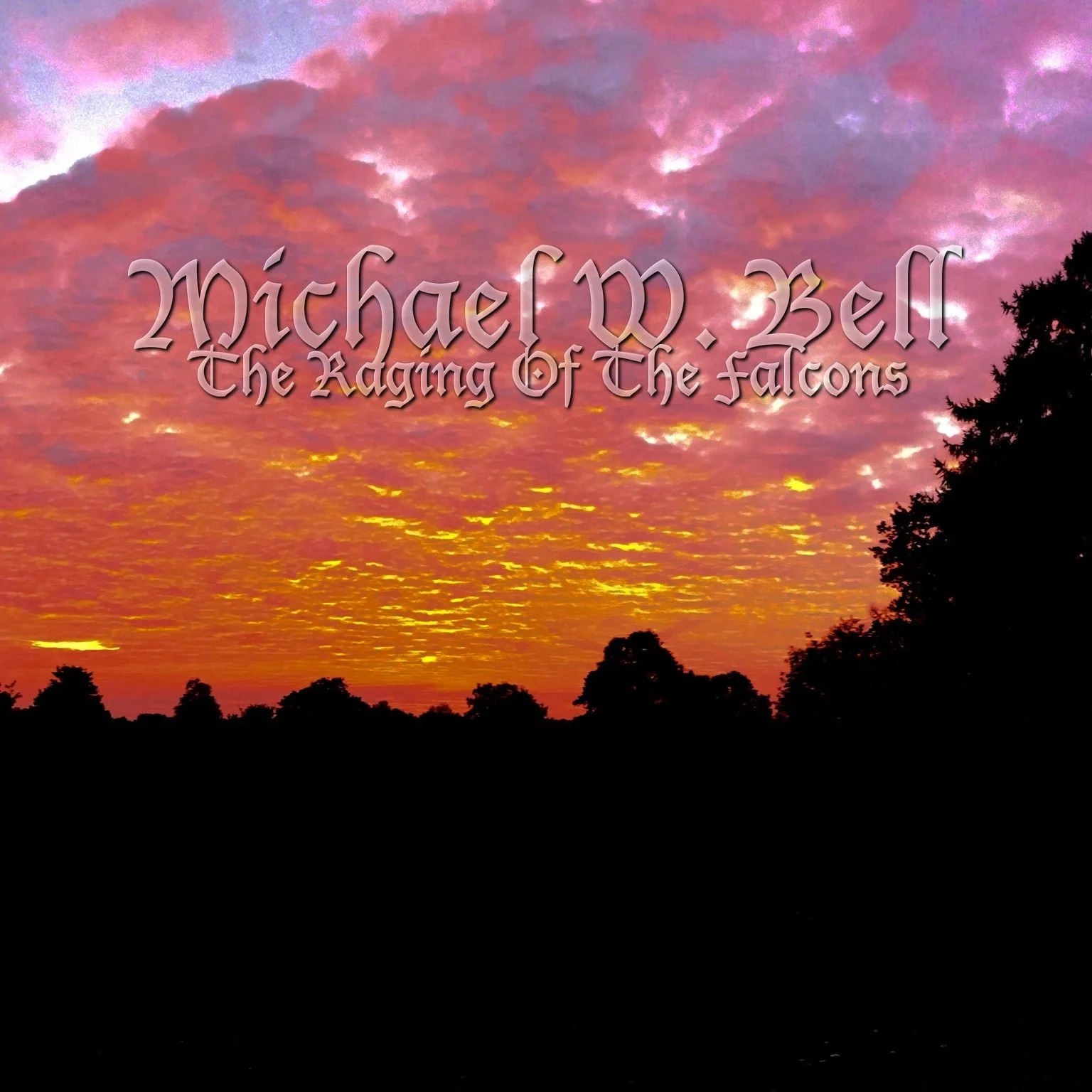 compressed_Michael W. Bell - The Raging Of The Falcons.jpeg