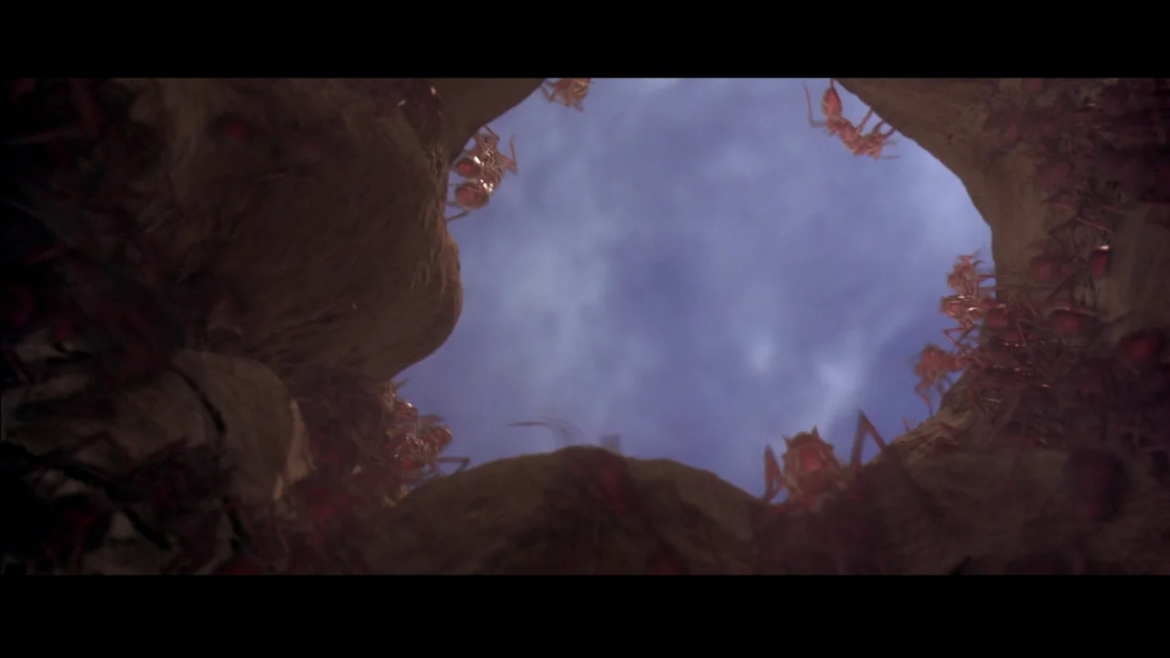 ScorpionKing_01.jpg