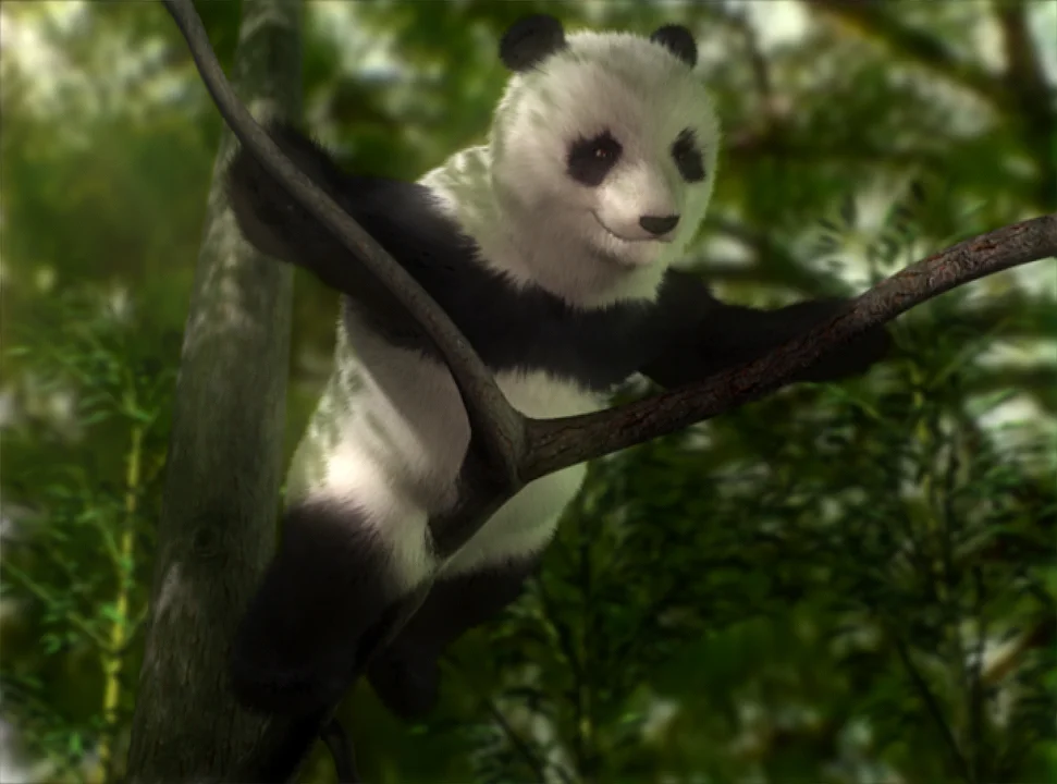 CokePandas_08.jpg