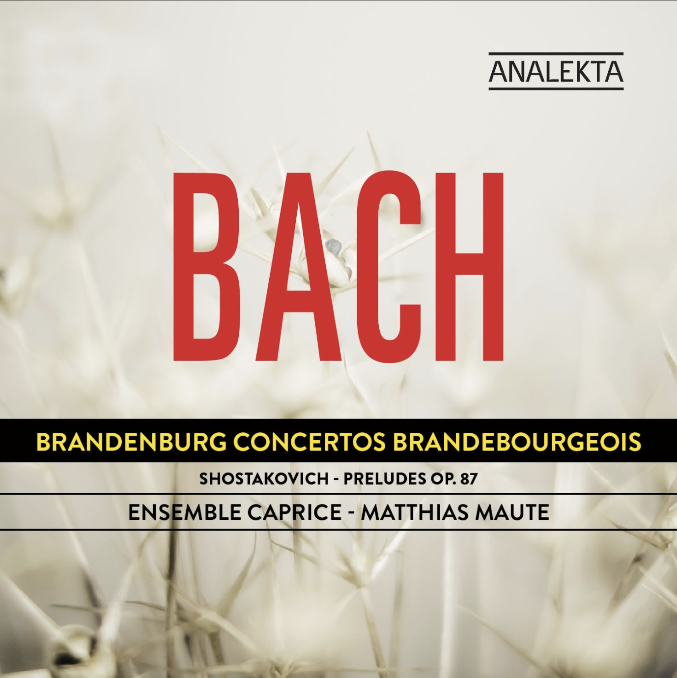Brandenburg Concertos (with a little Shostakovich)