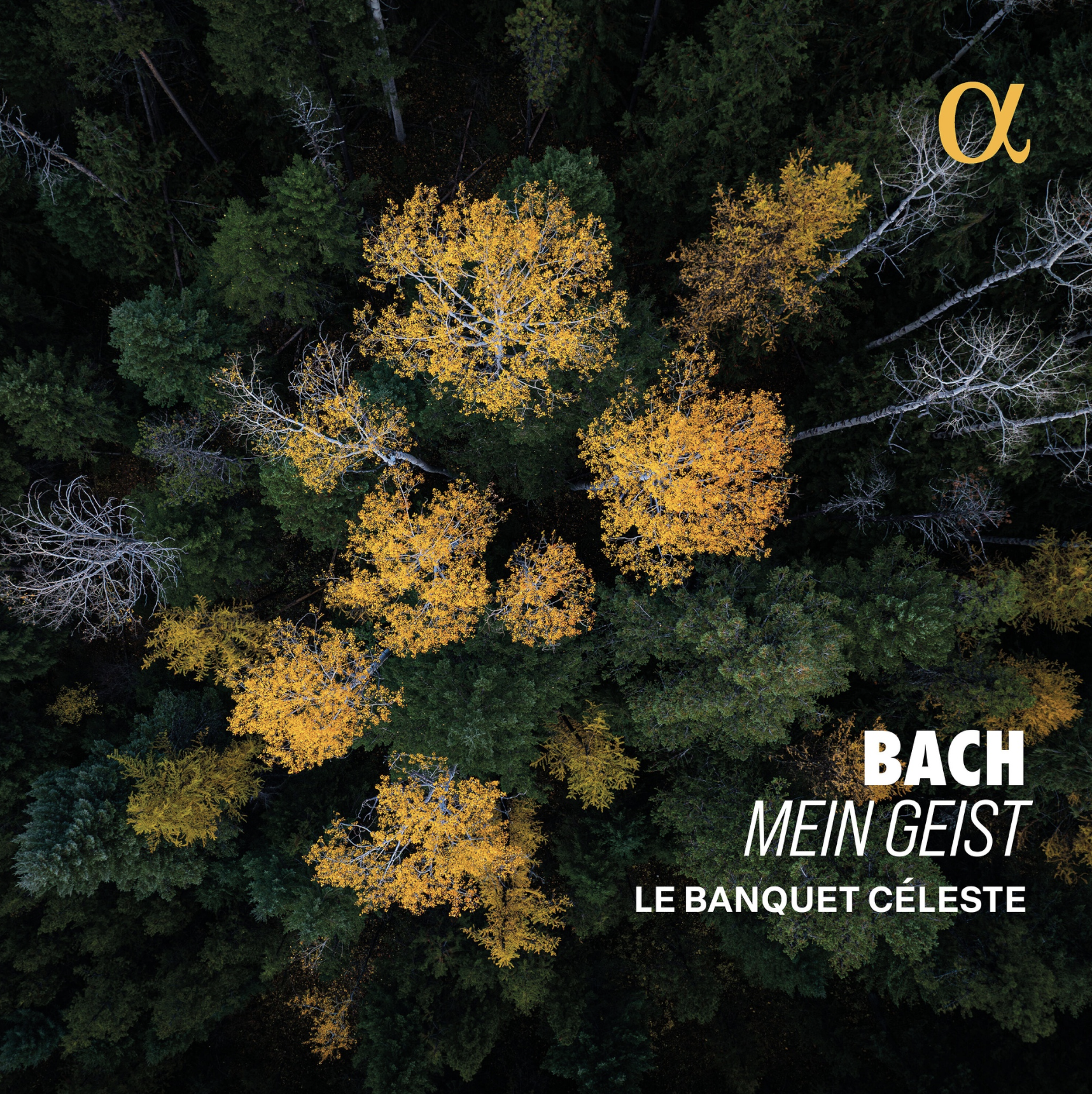 Bach - Mein Geist • Le Banquet Céleste