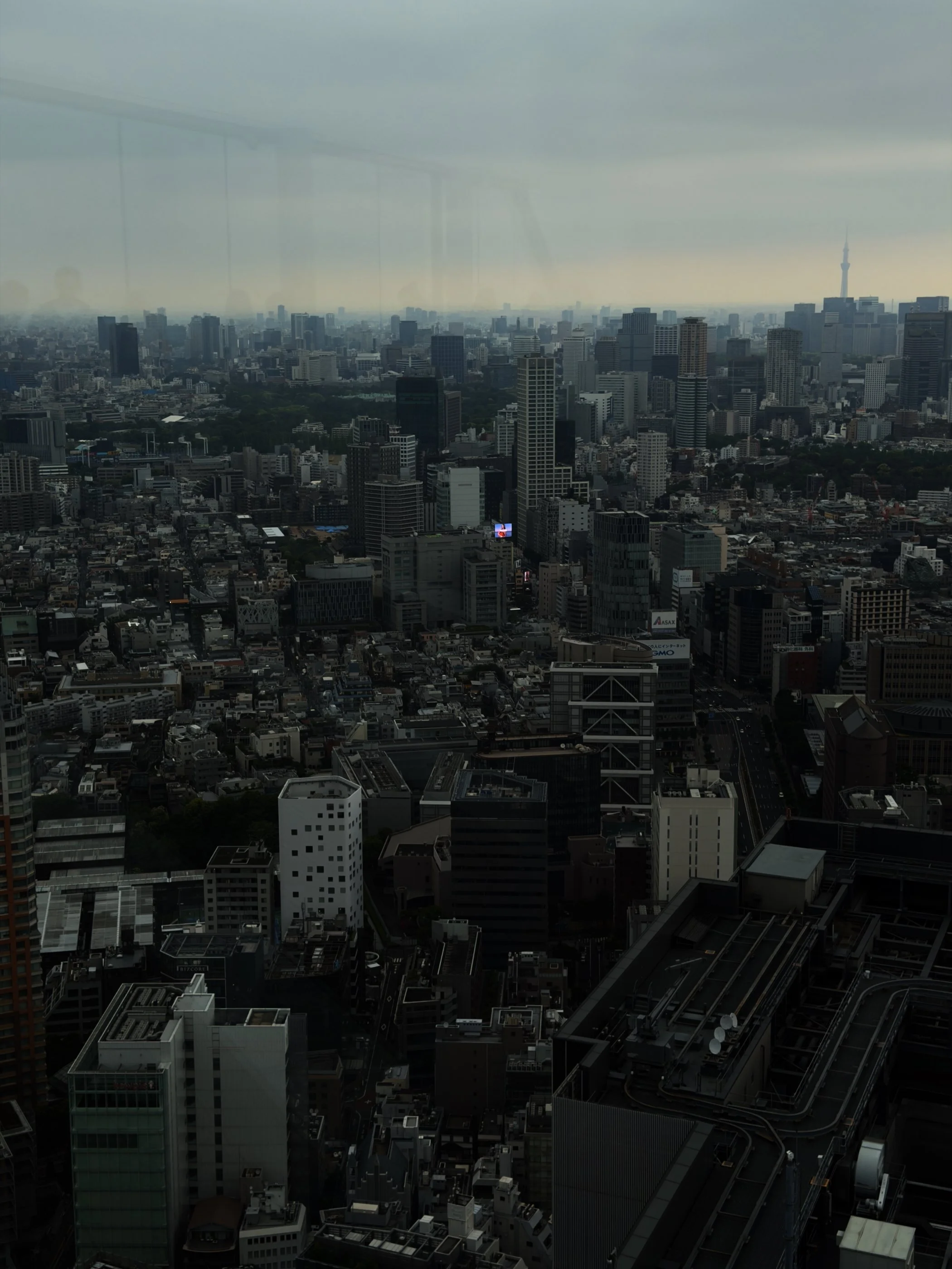 IMG_8896.jpeg