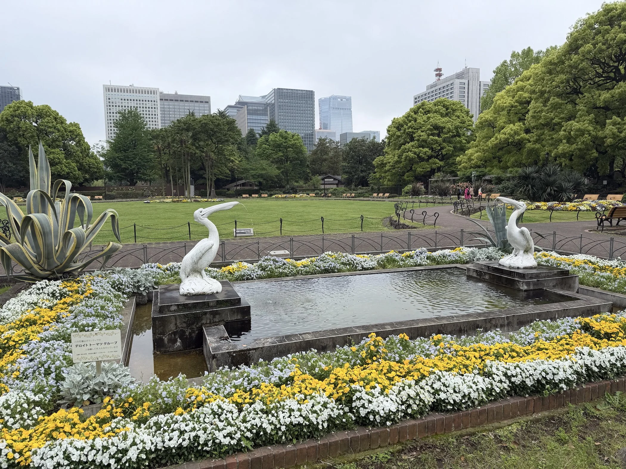 IMG_8871.jpeg