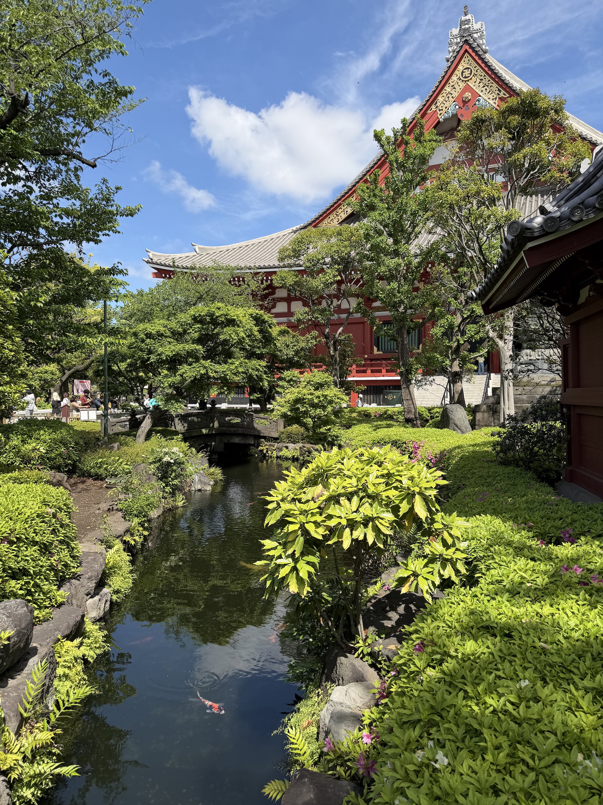 IMG_8633.jpeg
