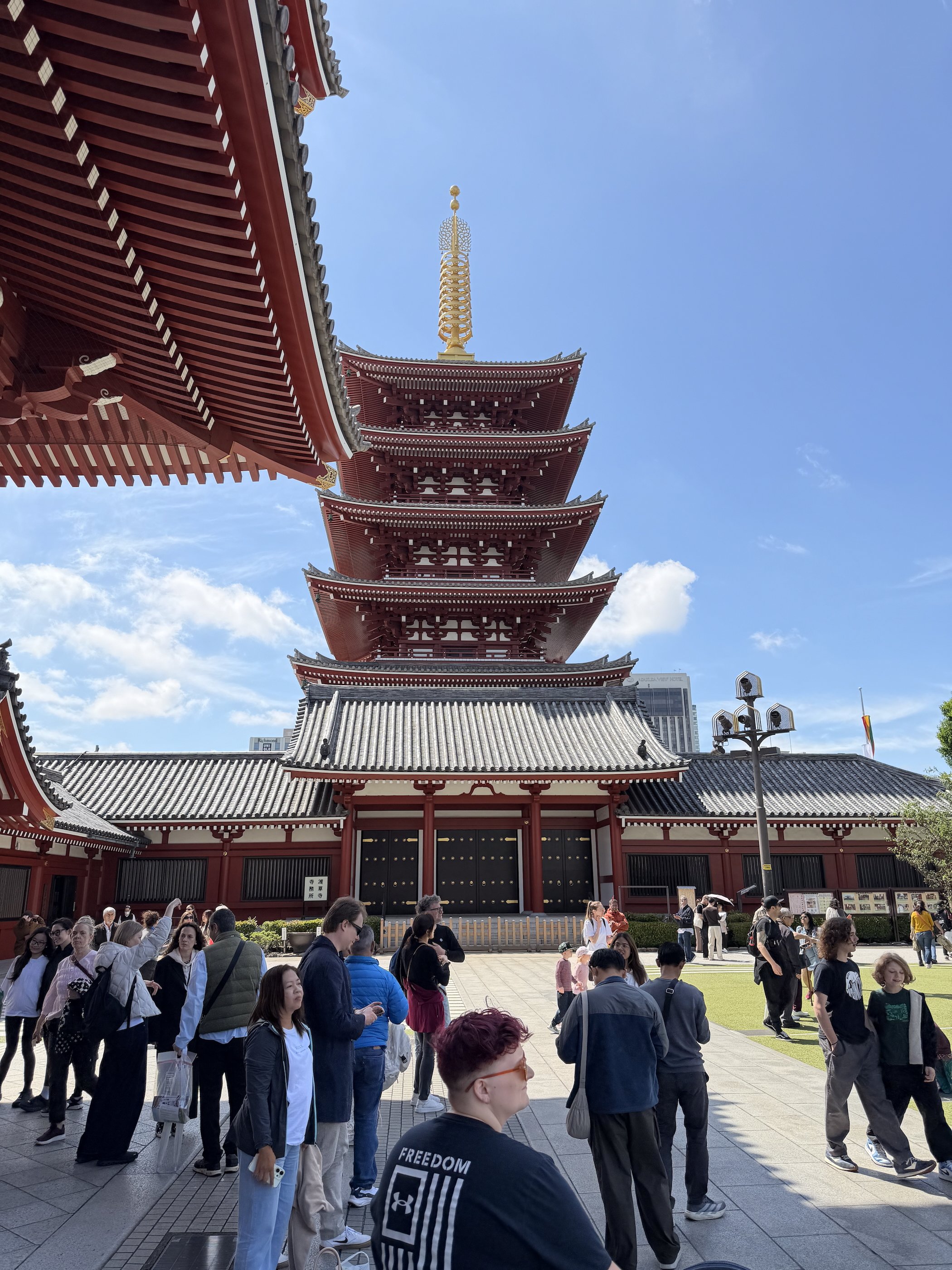 IMG_8621.jpeg