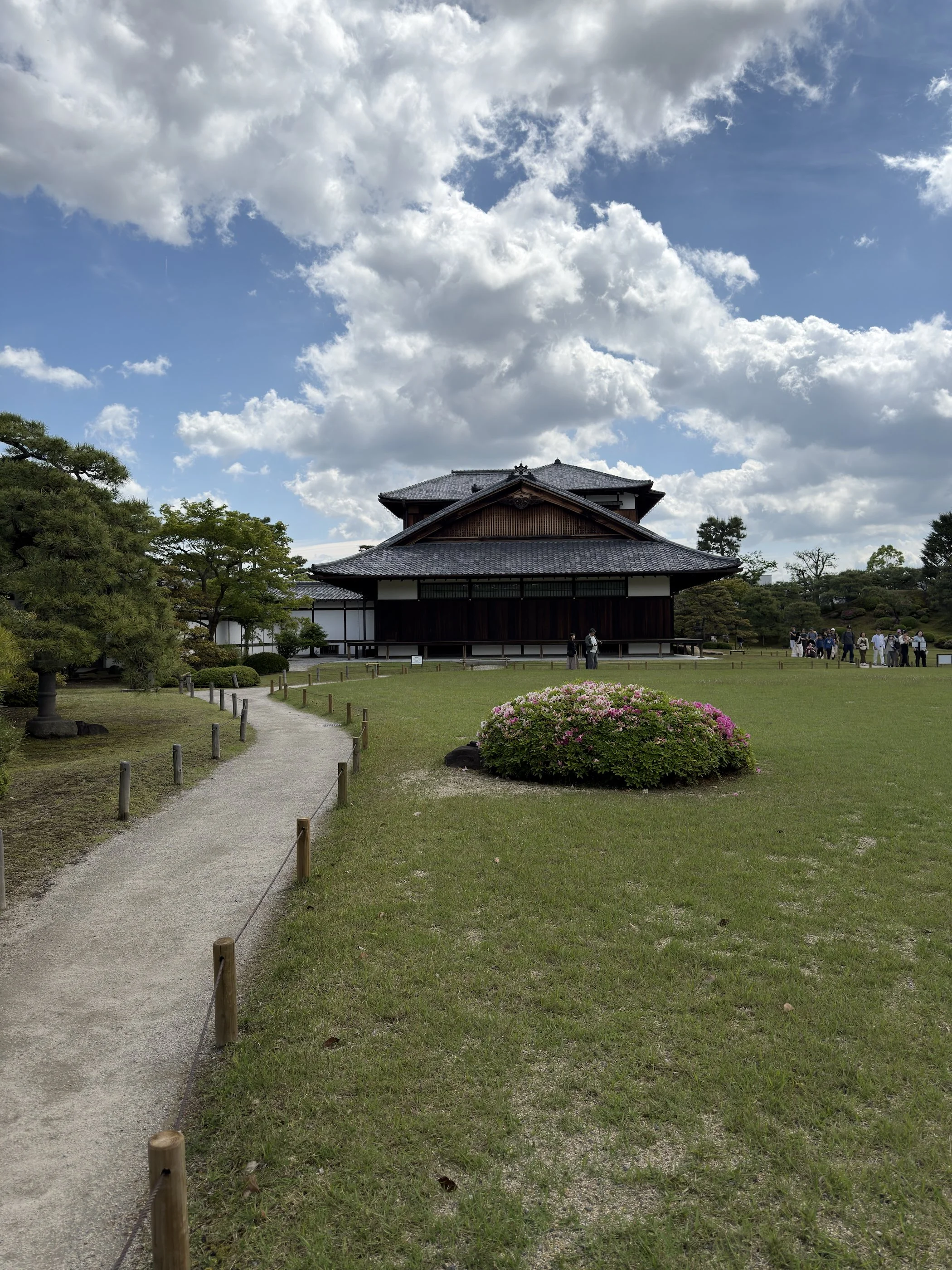 IMG_9843.jpeg