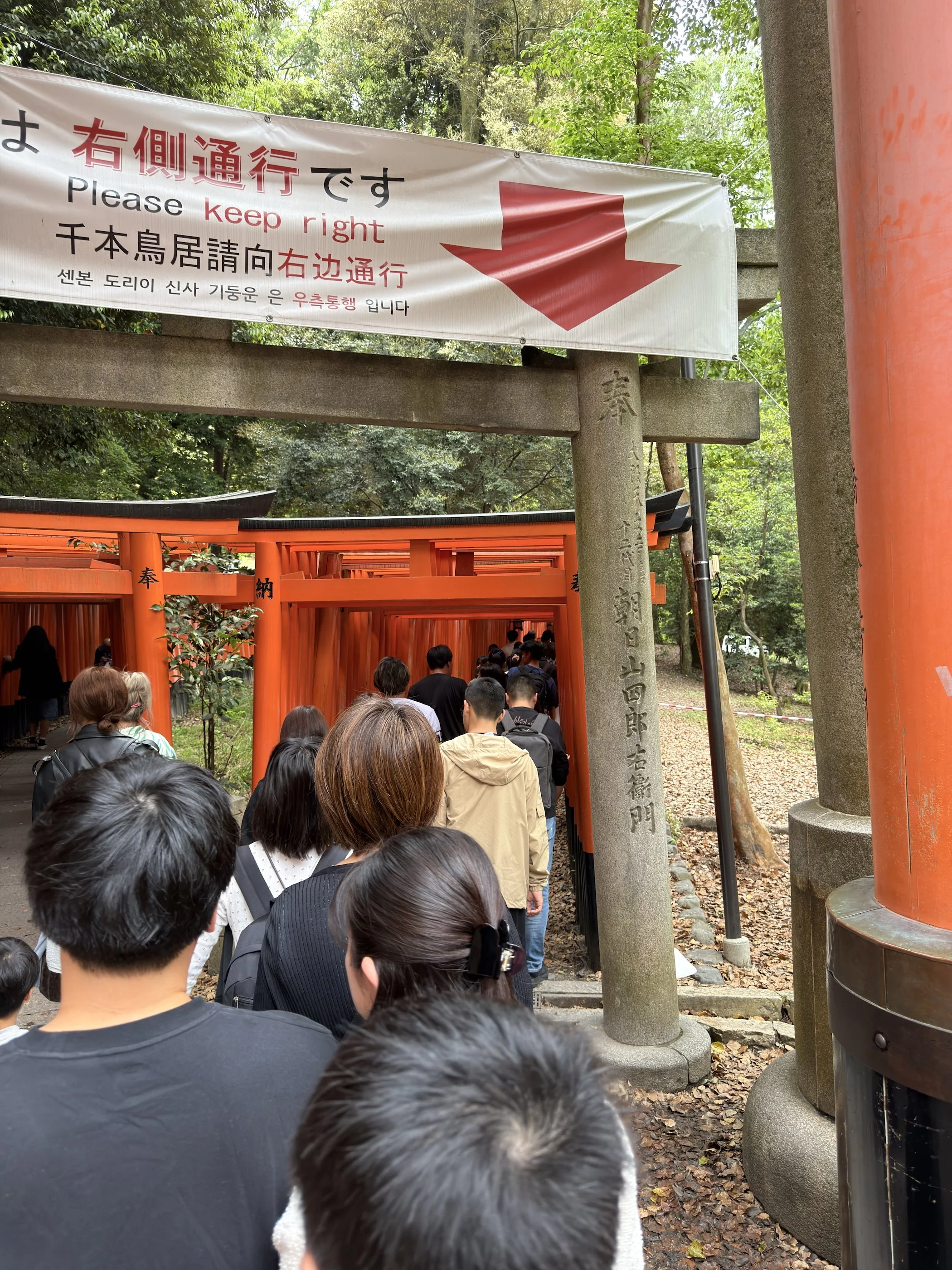 IMG_9649.jpeg