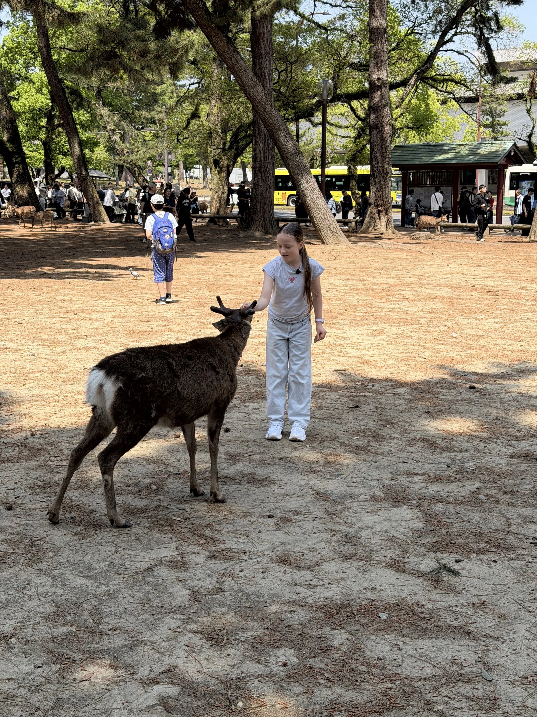 IMG_9322.jpeg