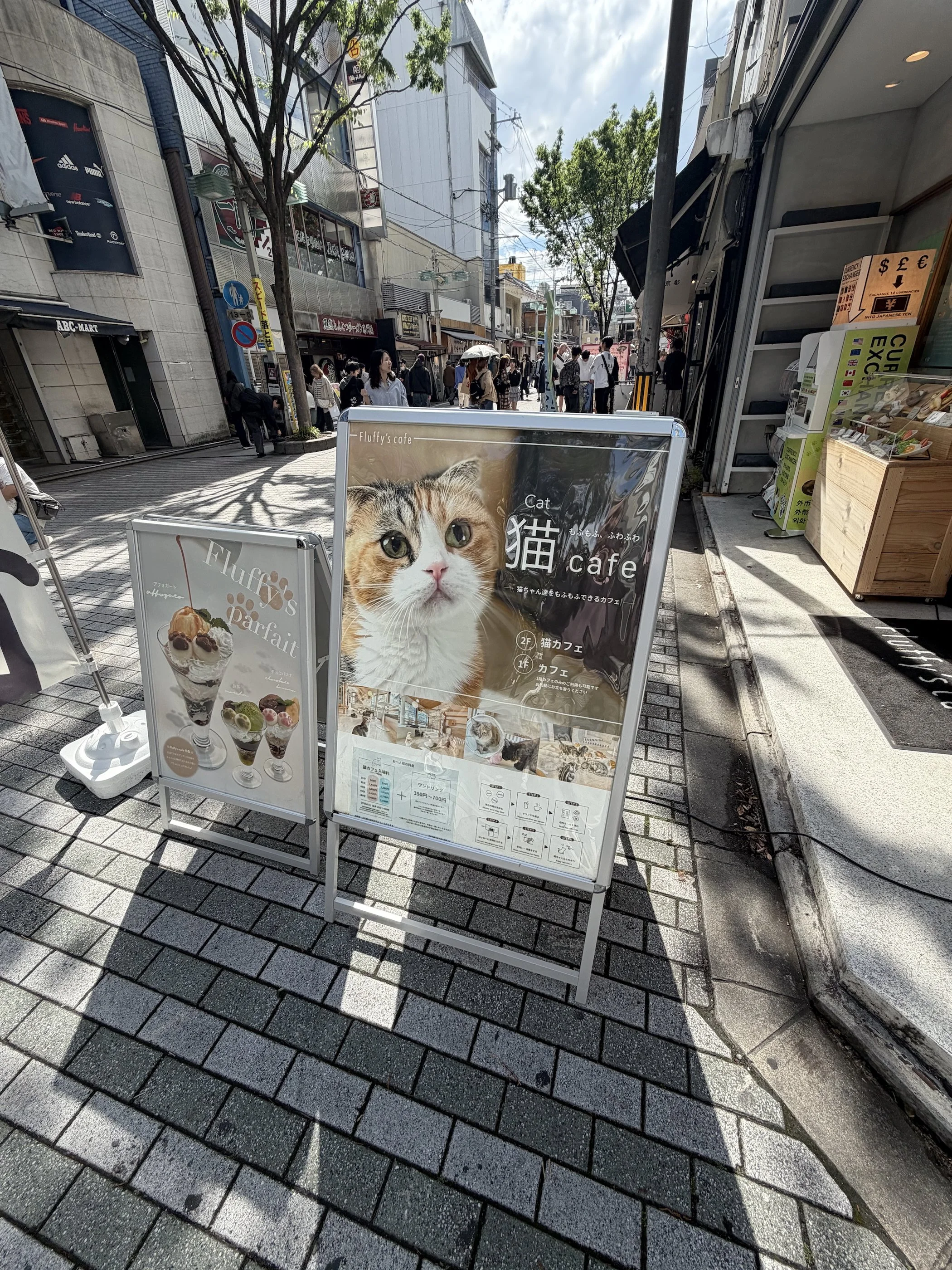 IMG_9250.jpeg