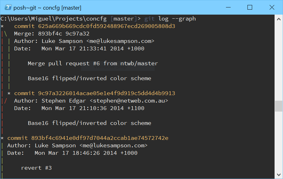 I want to have a nice looking terminal... on Windows 😱