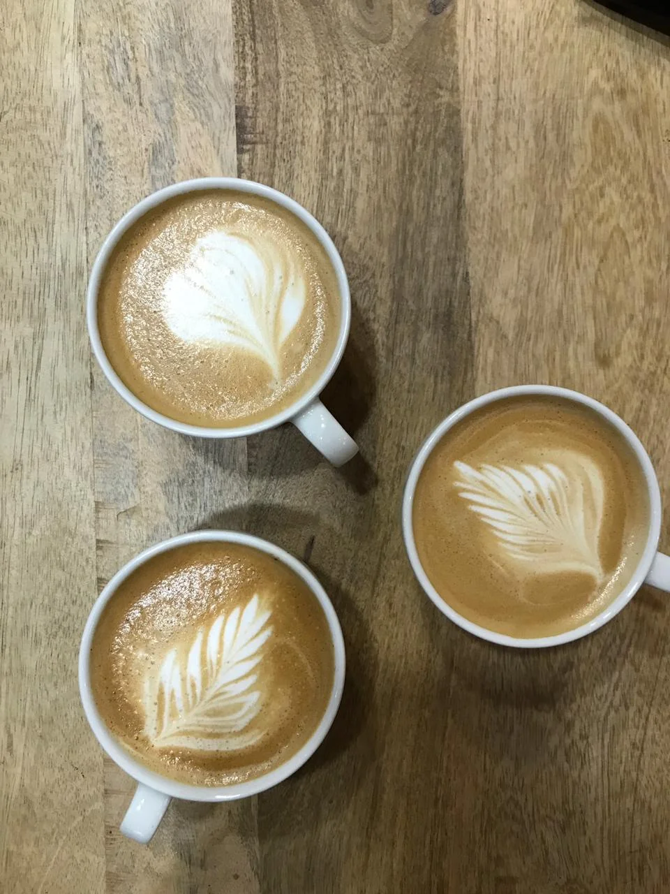 Two Wheel Inn — Greg Minnaar Cycles