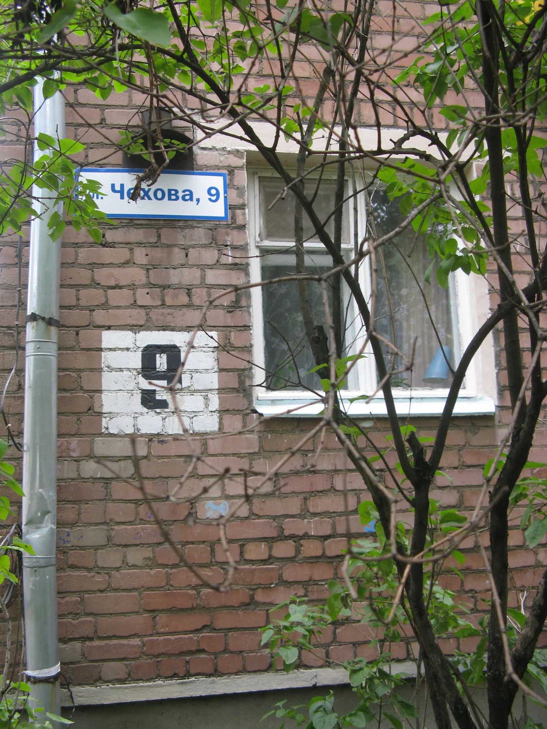 IMG_8601.jpg