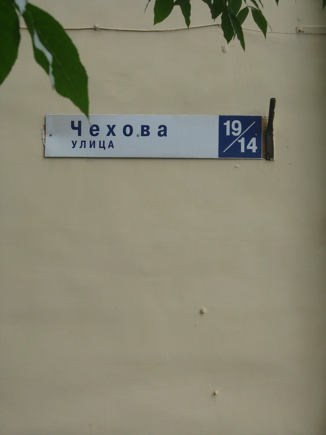IMG_8617.jpg