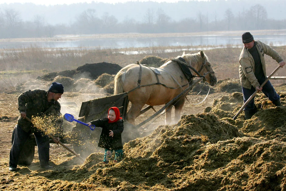 Pesotsjnoje, 95 km van Minsk, 2009