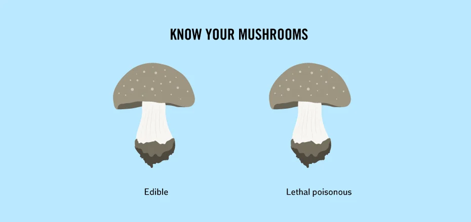 Simple Truths 9.jpg