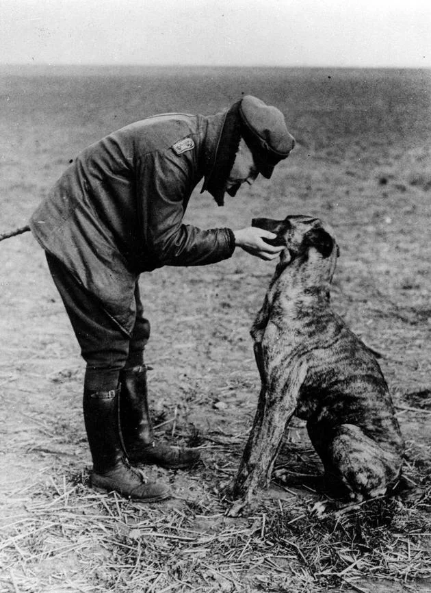Via: firstworldwar