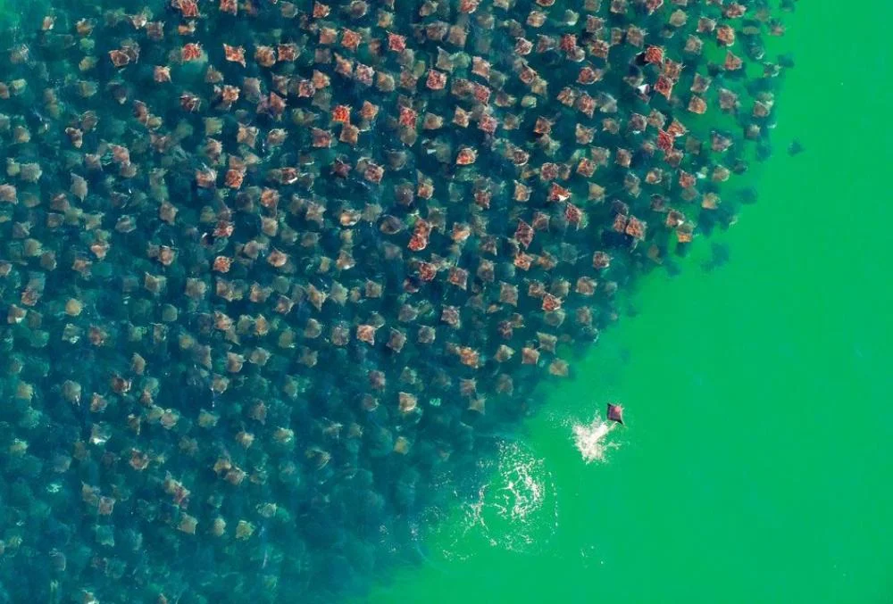 Via: nationalgeographic