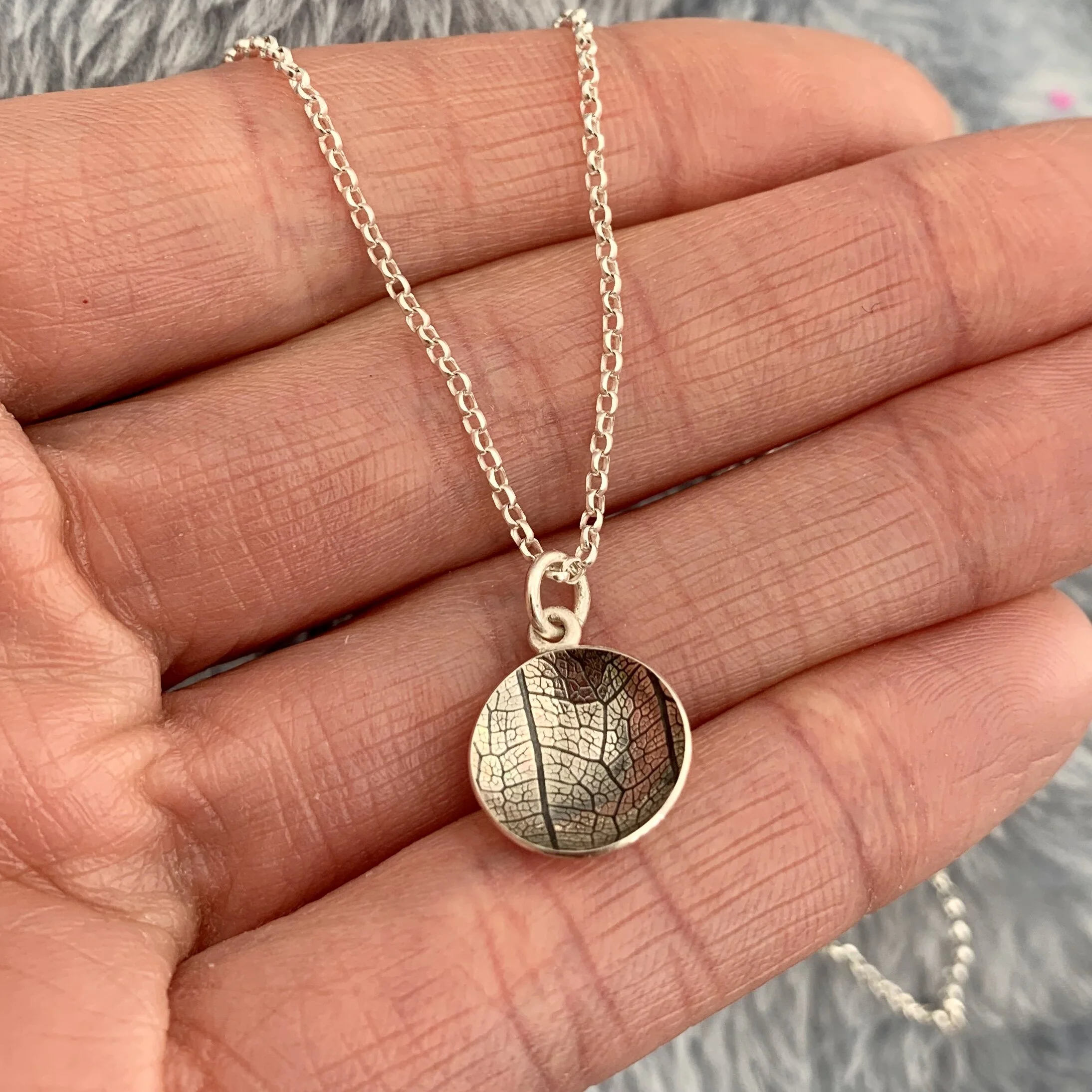 84EE7281-6CCE-40F2-BD1E-E91F8D6A3816