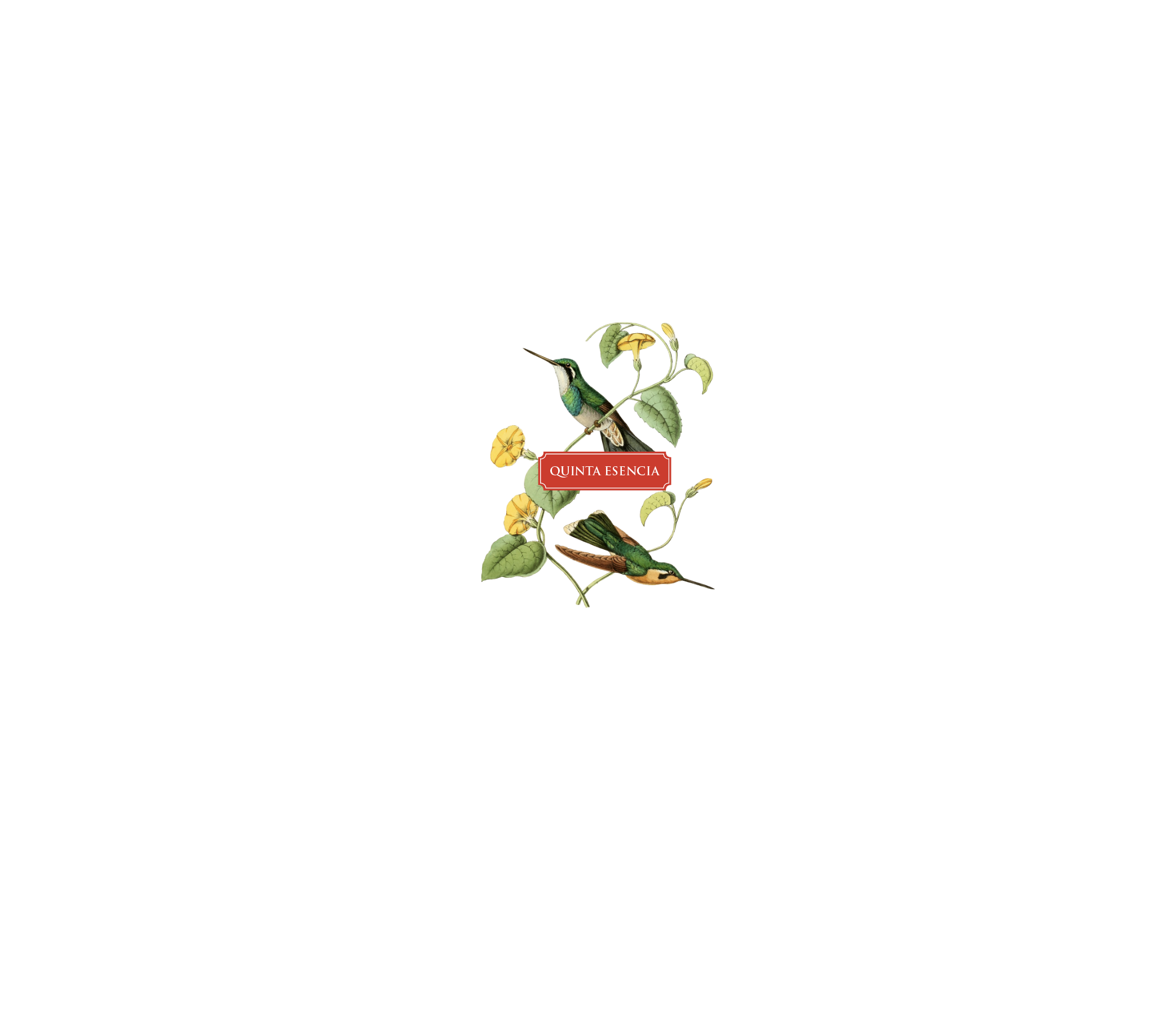 QUINTA.png
