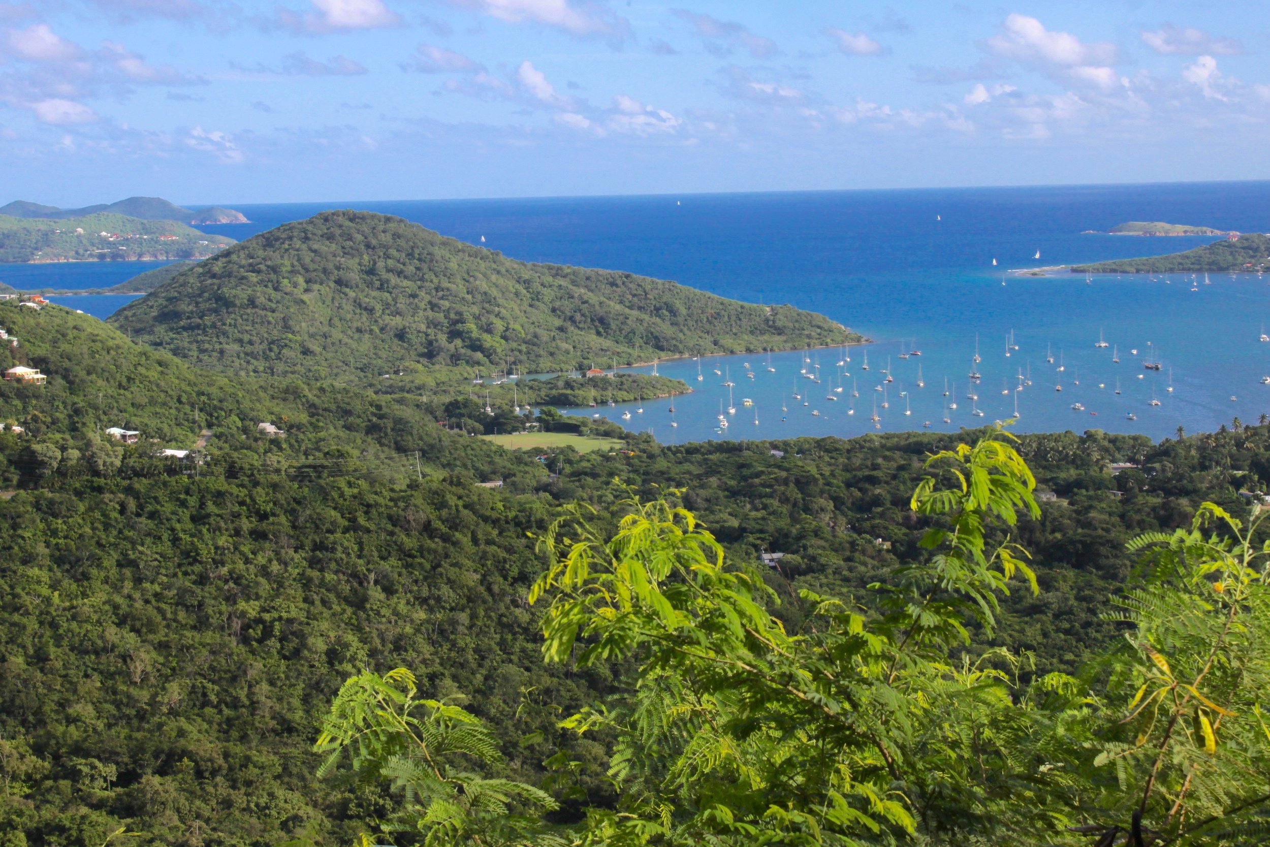 Land for Sale on St John 6