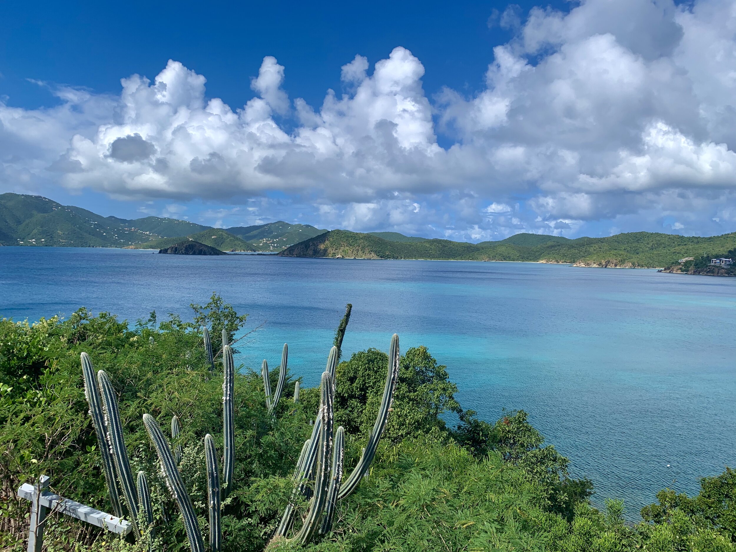 Unique Island Assets Real Estate and Vacation Rentals on St John in