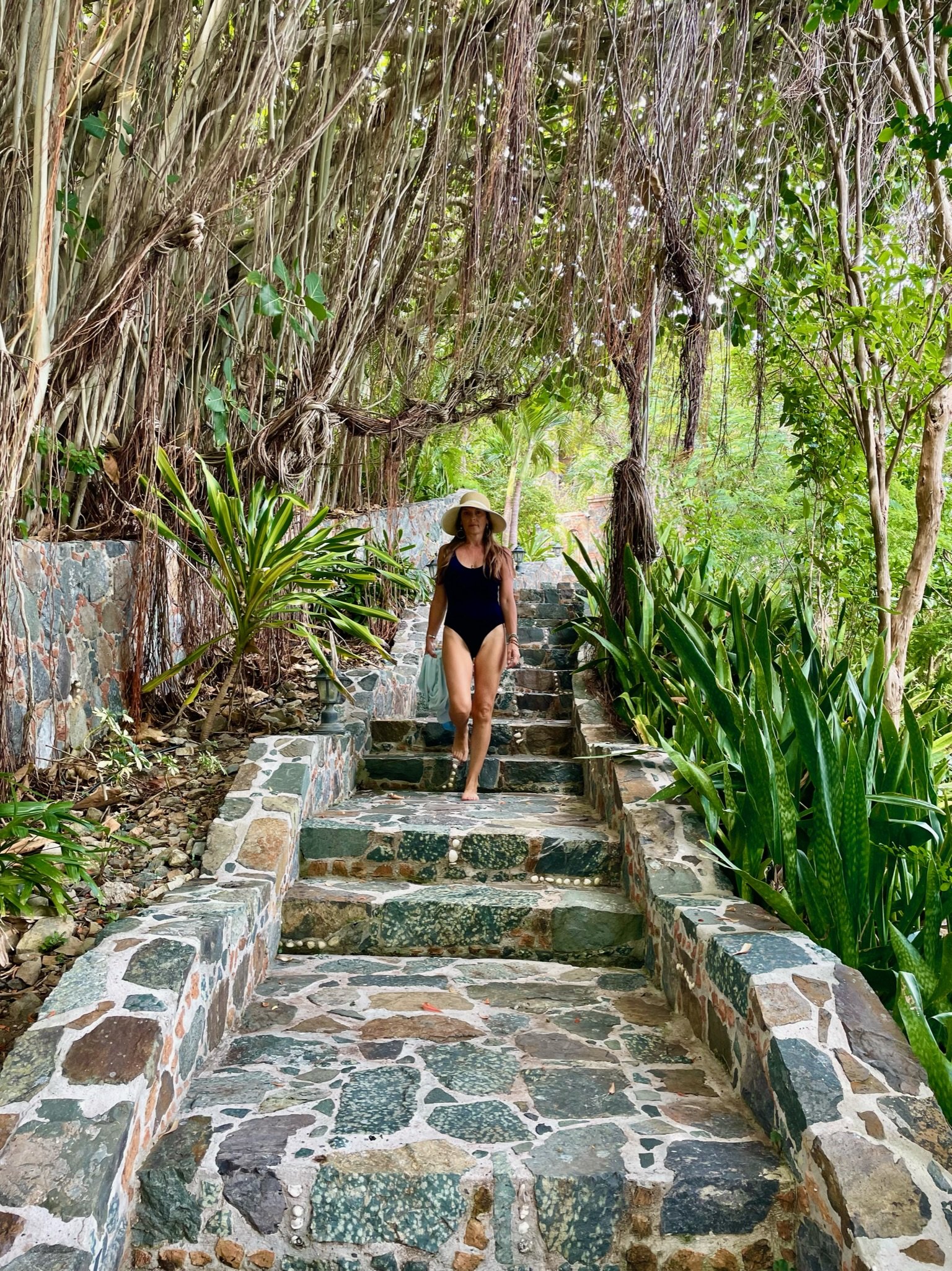 walkway with a great banyan tree.JPG