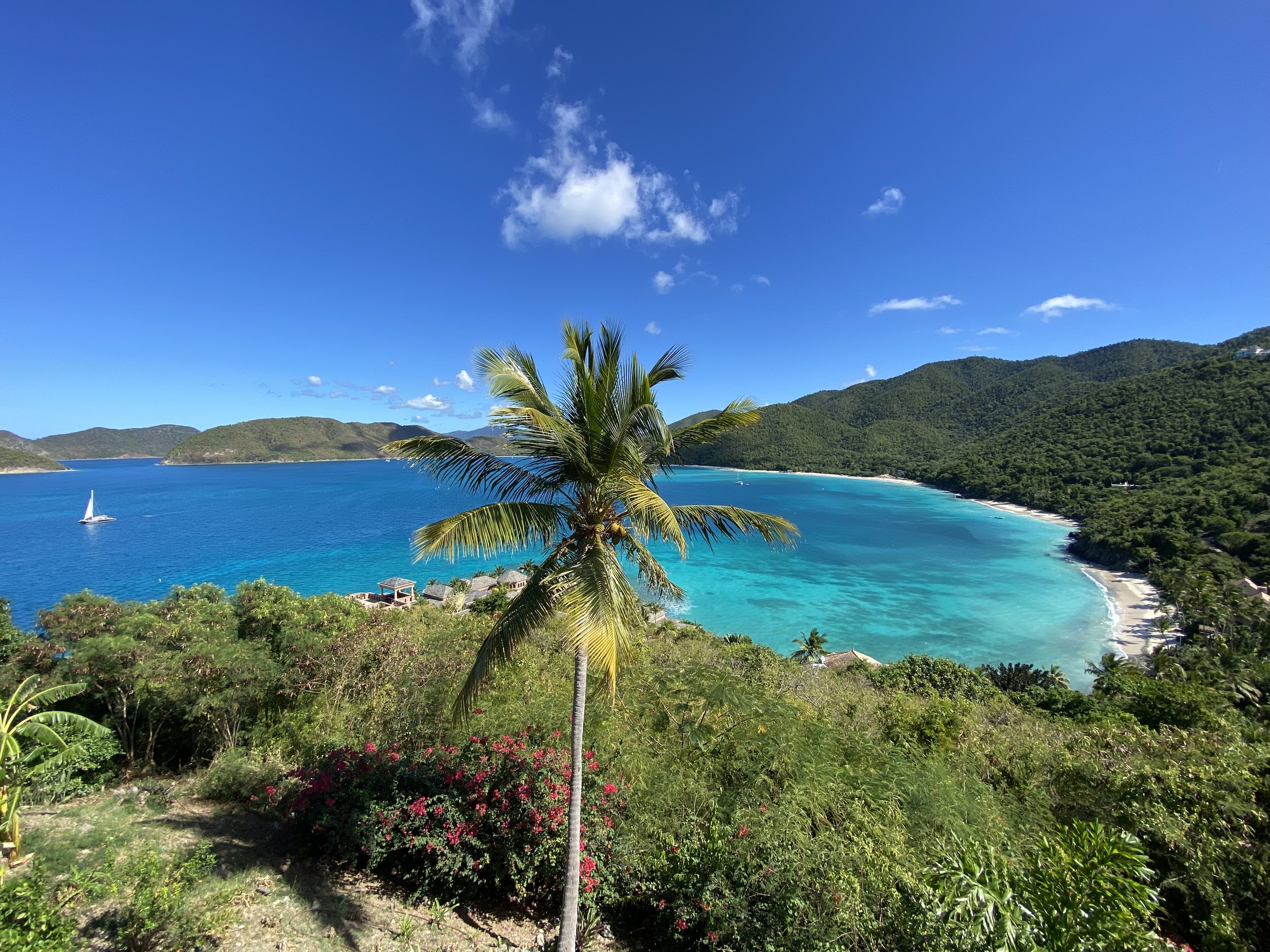 View of the beach.jpg